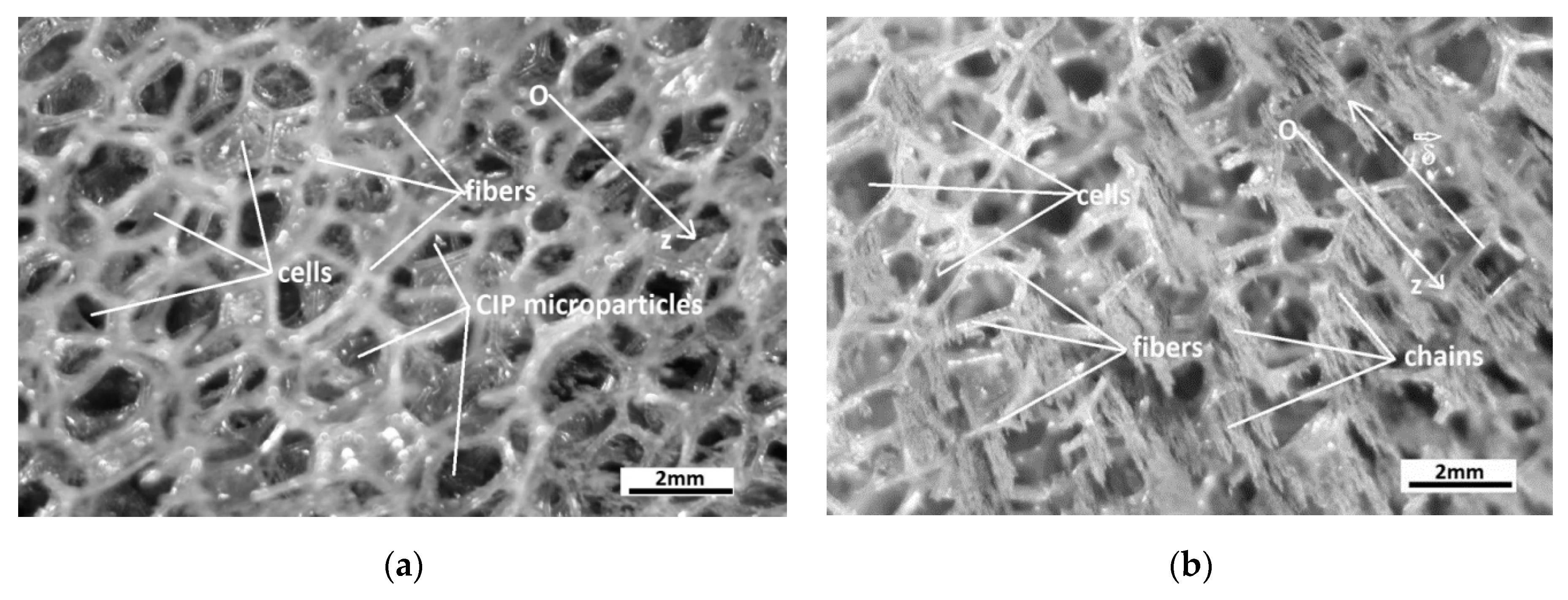 Polymers 14 02062 g012