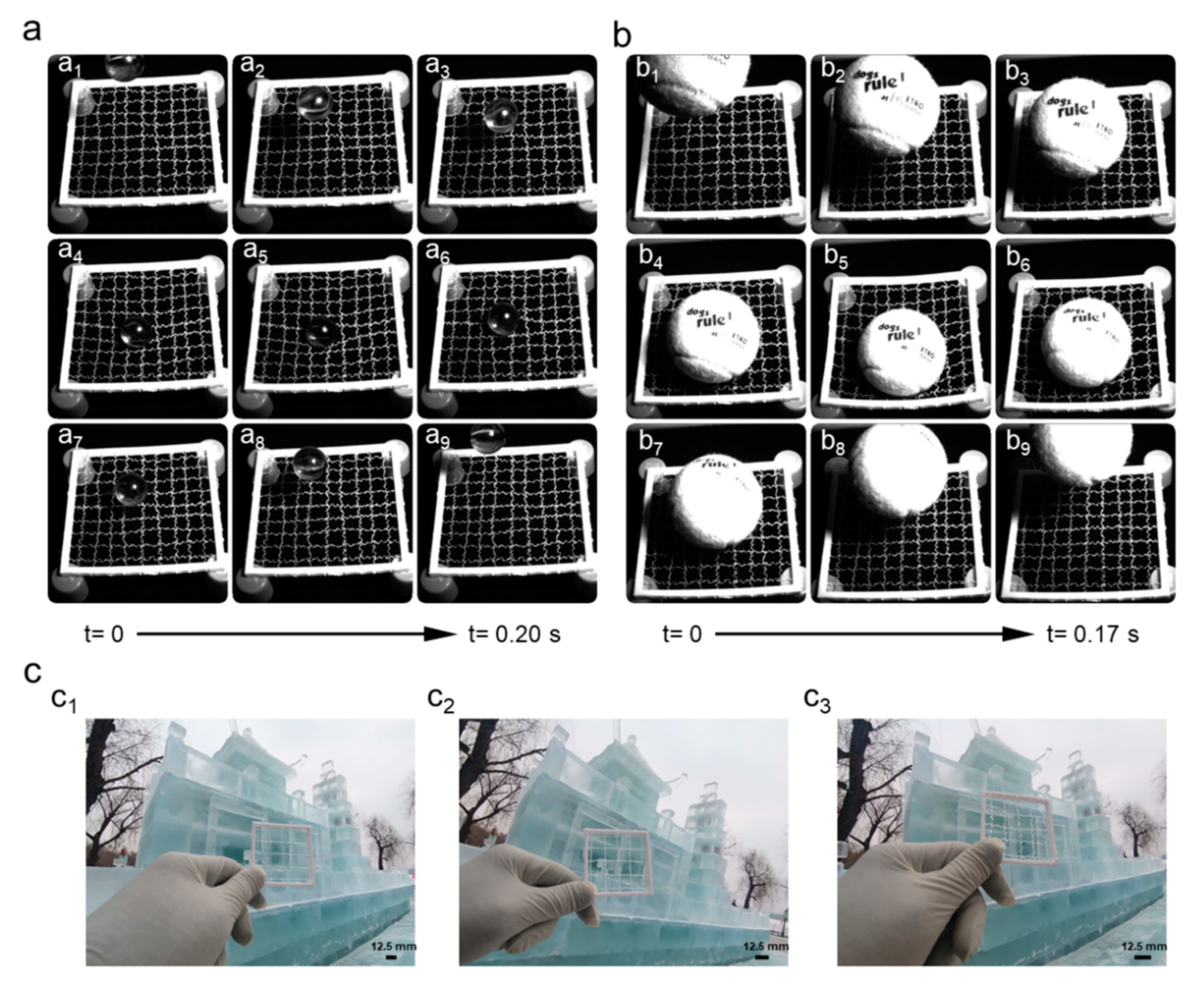 Polymers 14 02069 g009
