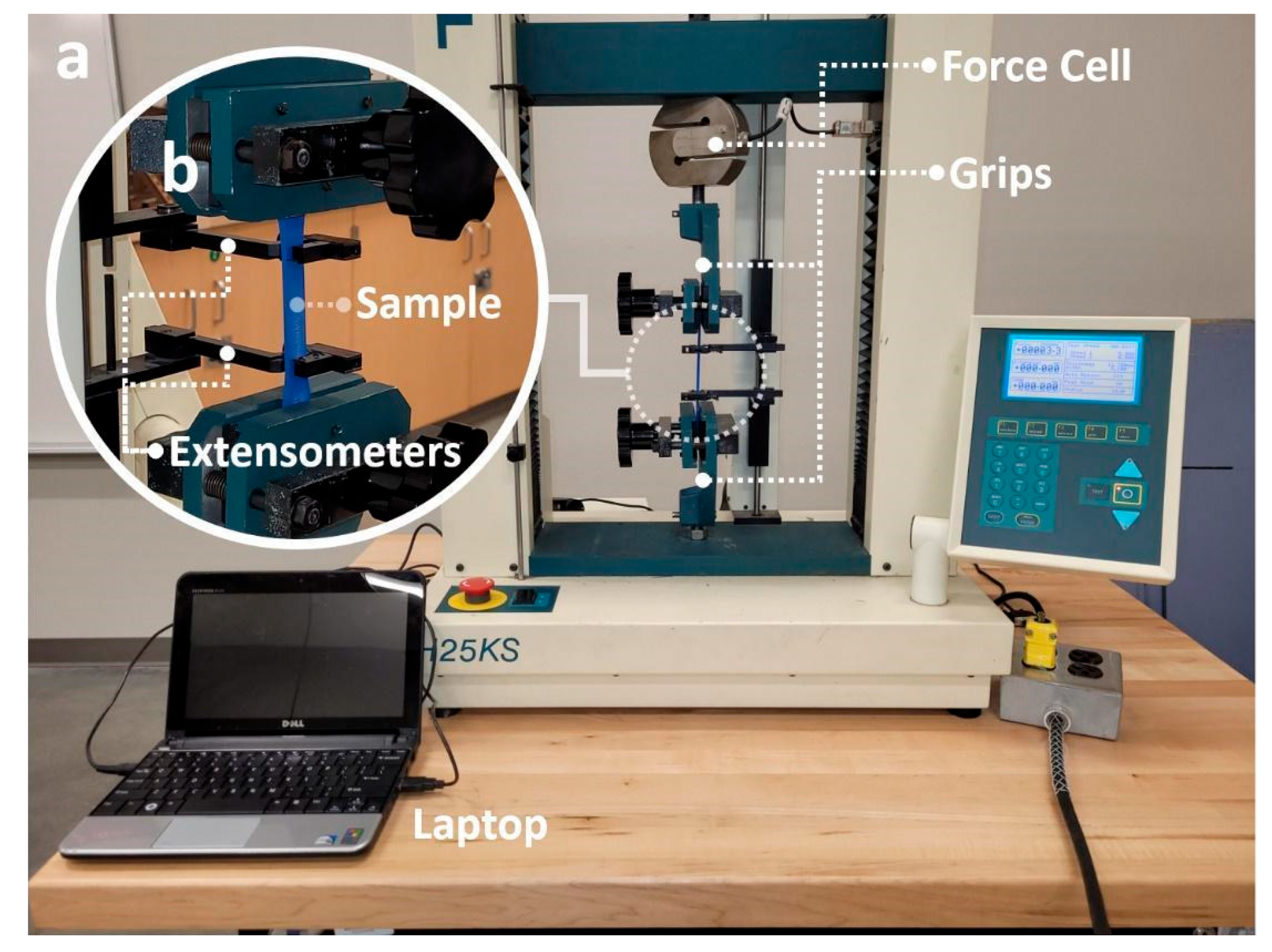 Polymers 14 02071 g003 550