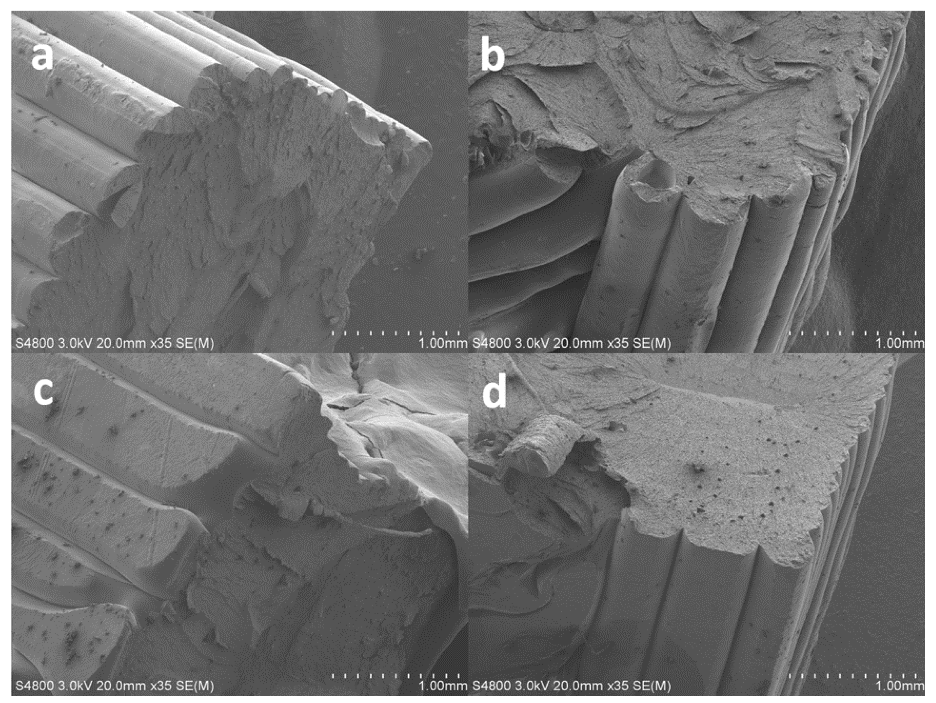 Polymers 14 02071 g011 550