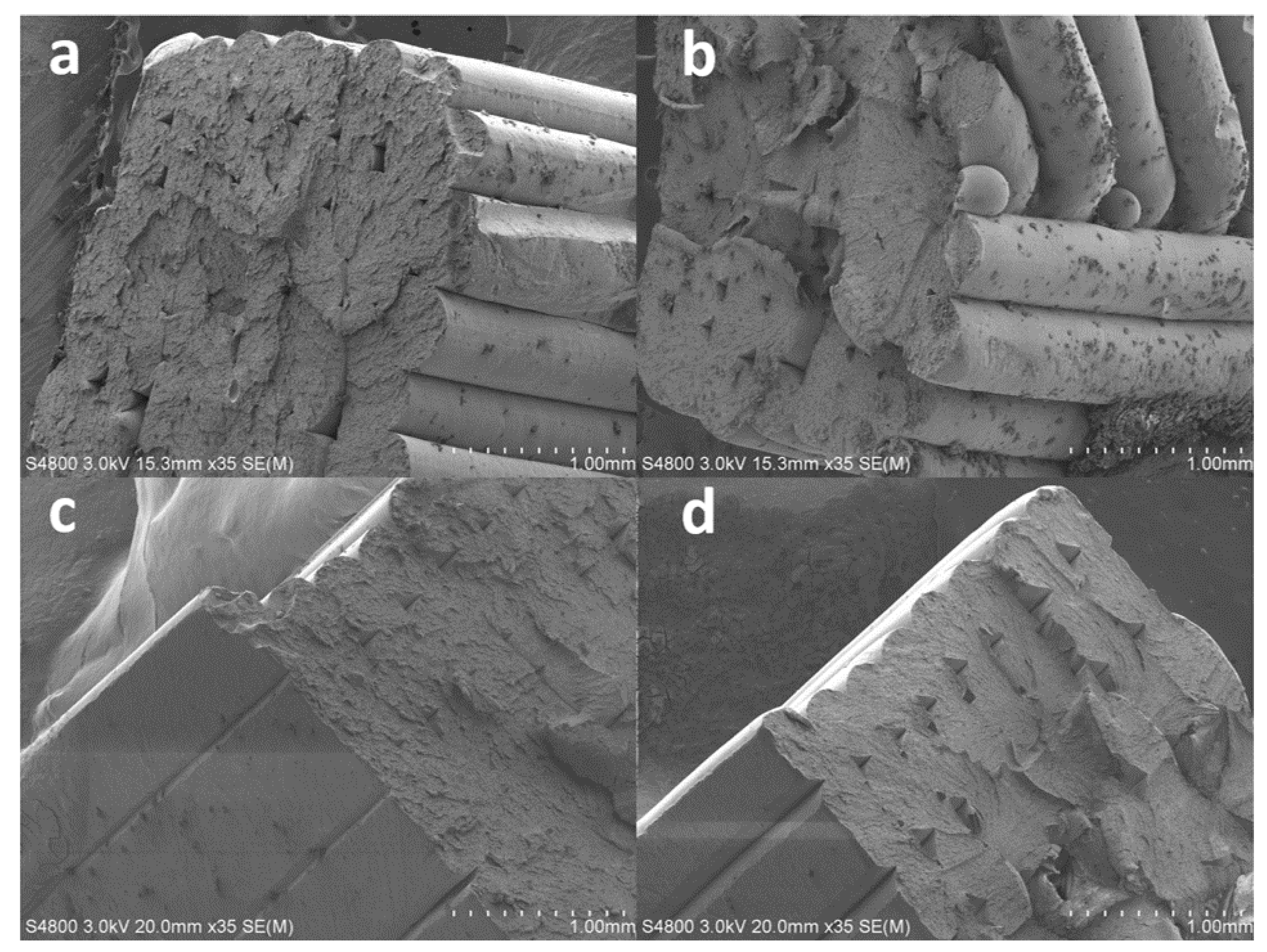 Polymers 14 02071 g012 550