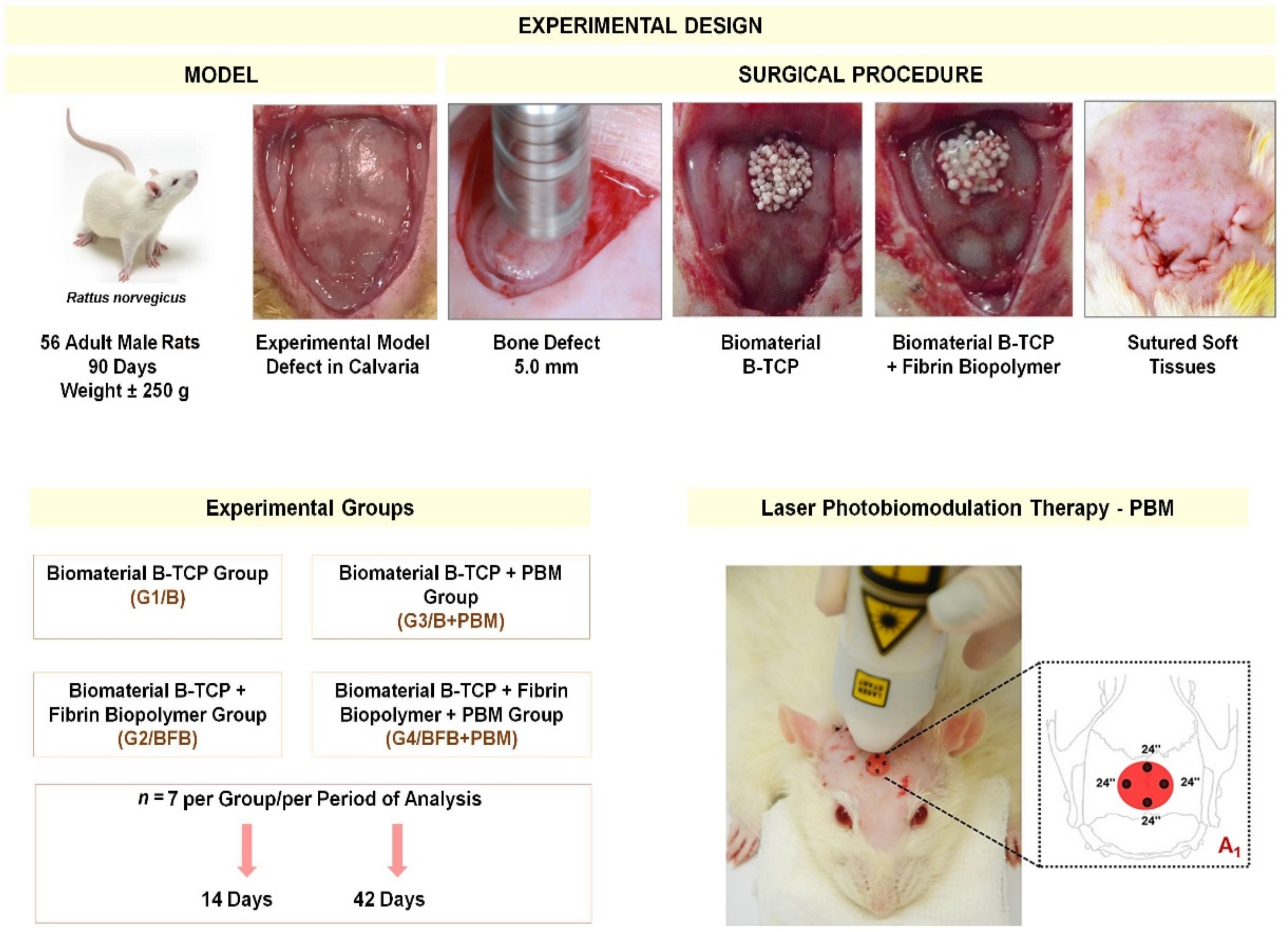 Polymers 14 02075 g001 Polymers 14 02075 g001