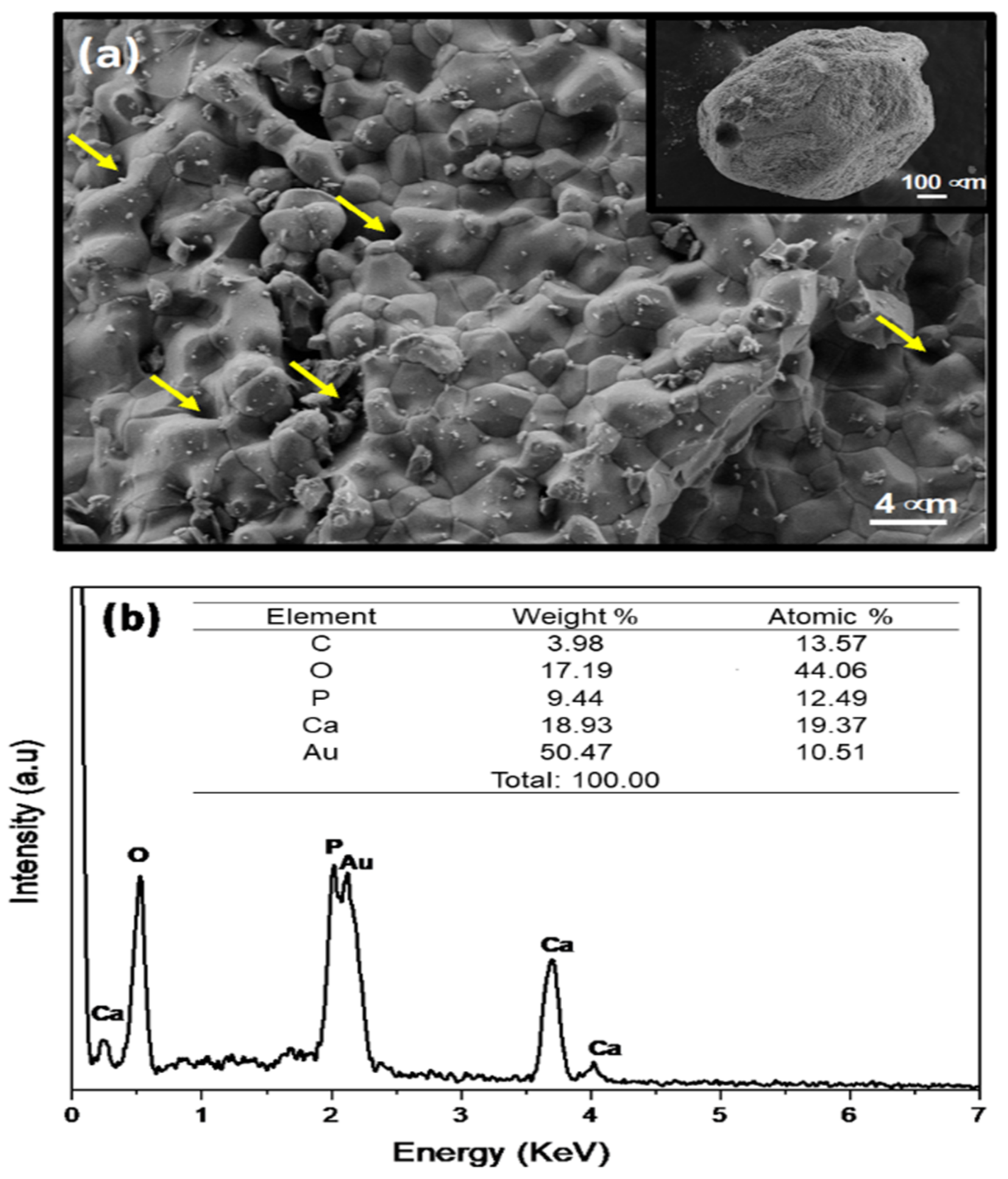 Polymers 14 02075 g002 Polymers 14 02075 g002