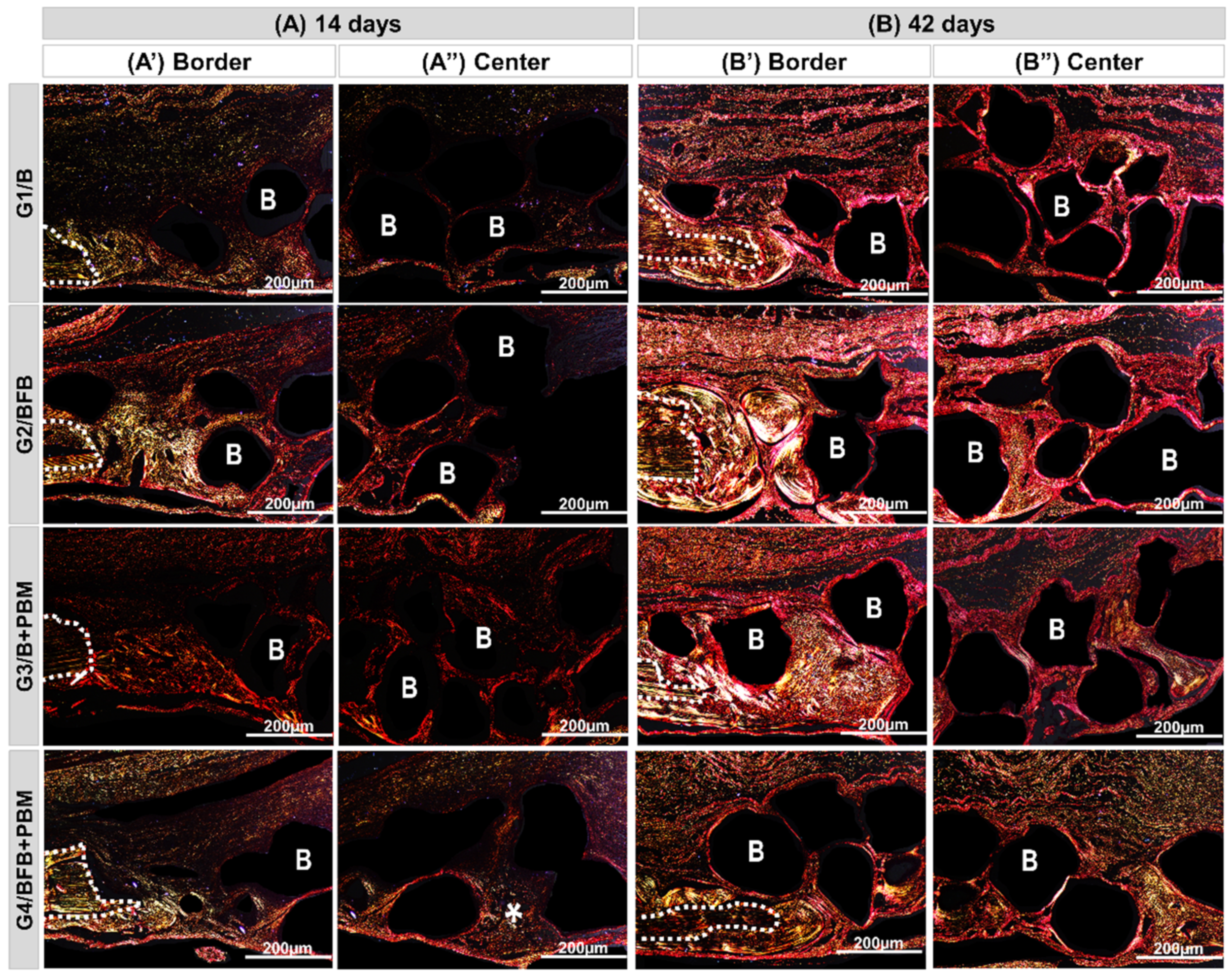 Polymers 14 02075 g009 Polymers 14 02075 g009