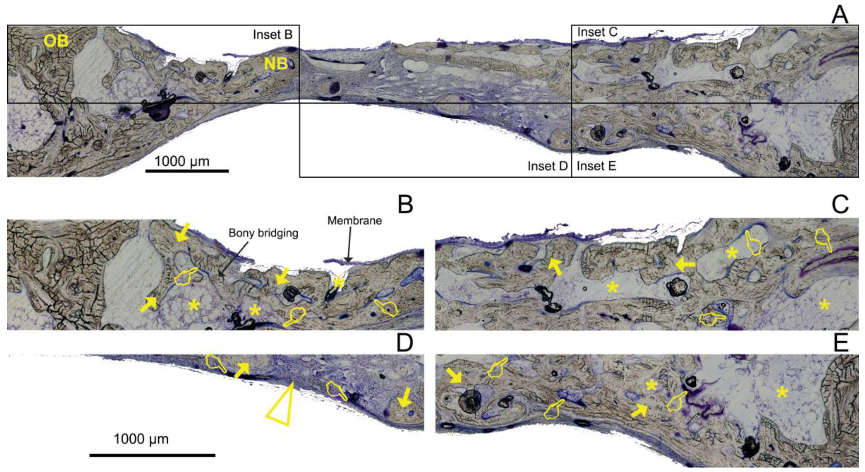 Polymers 14 02078 g004 550