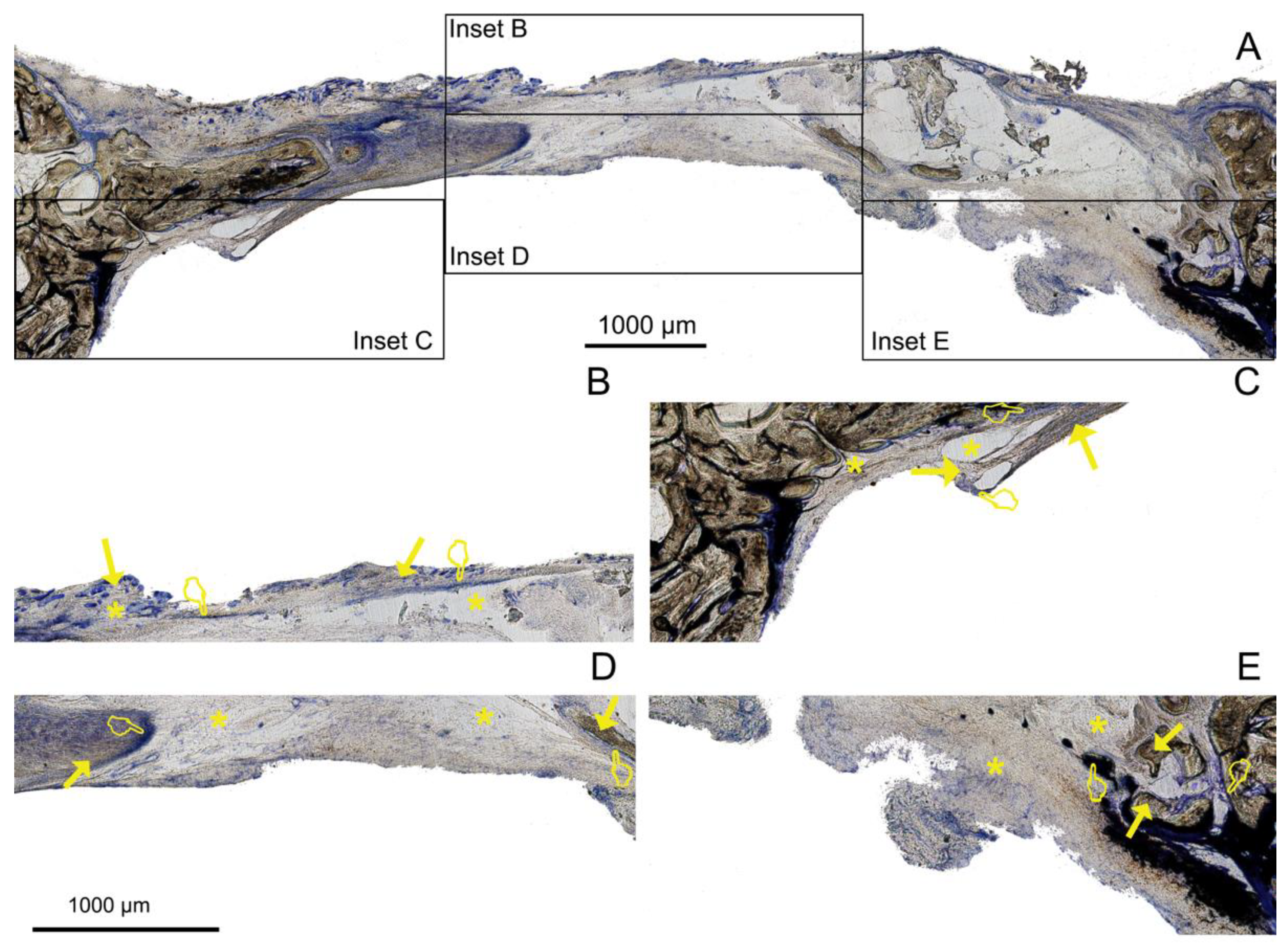 Polymers 14 02078 g006 550