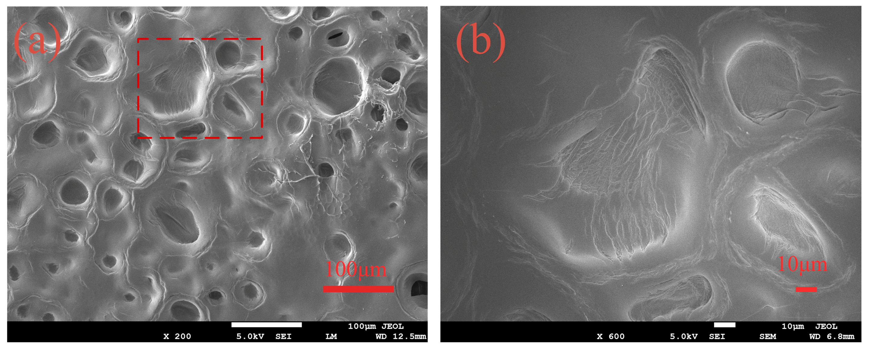 Polymers 14 02081 g003