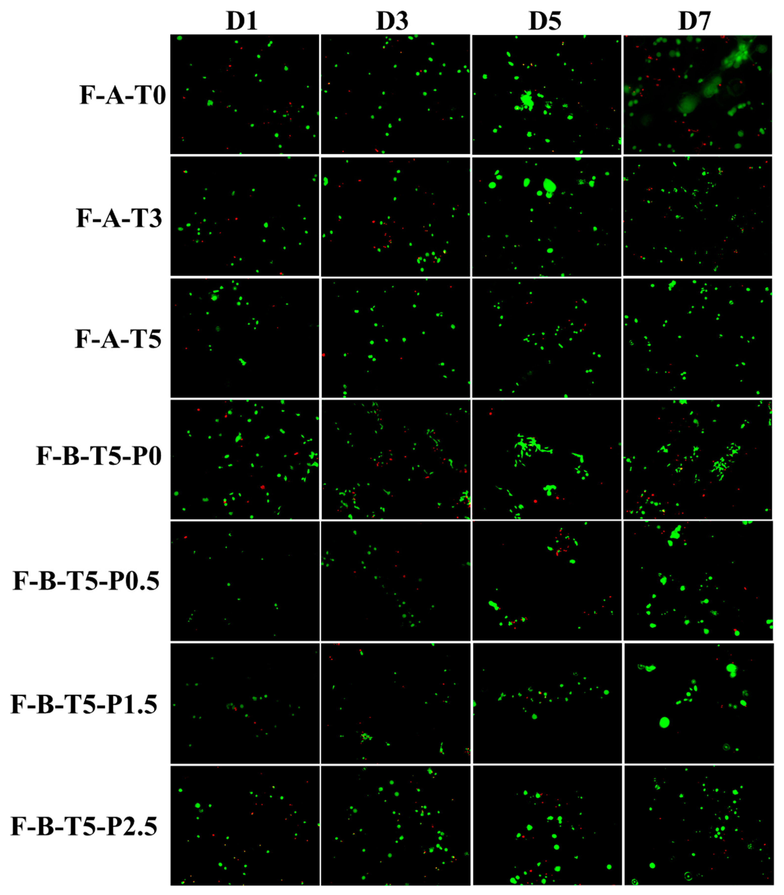 Polymers 14 02083 g007