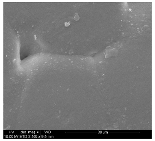 Polymers 14 02086 i006