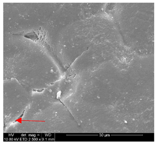 Polymers 14 02086 i007