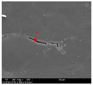 Polymers 14 02086 i011