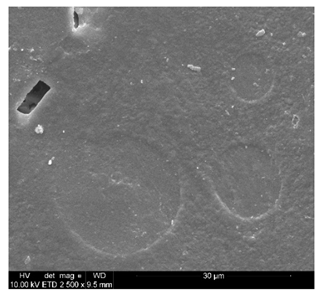 Polymers 14 02086 i012