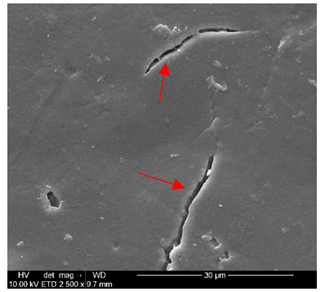 Polymers 14 02086 i015