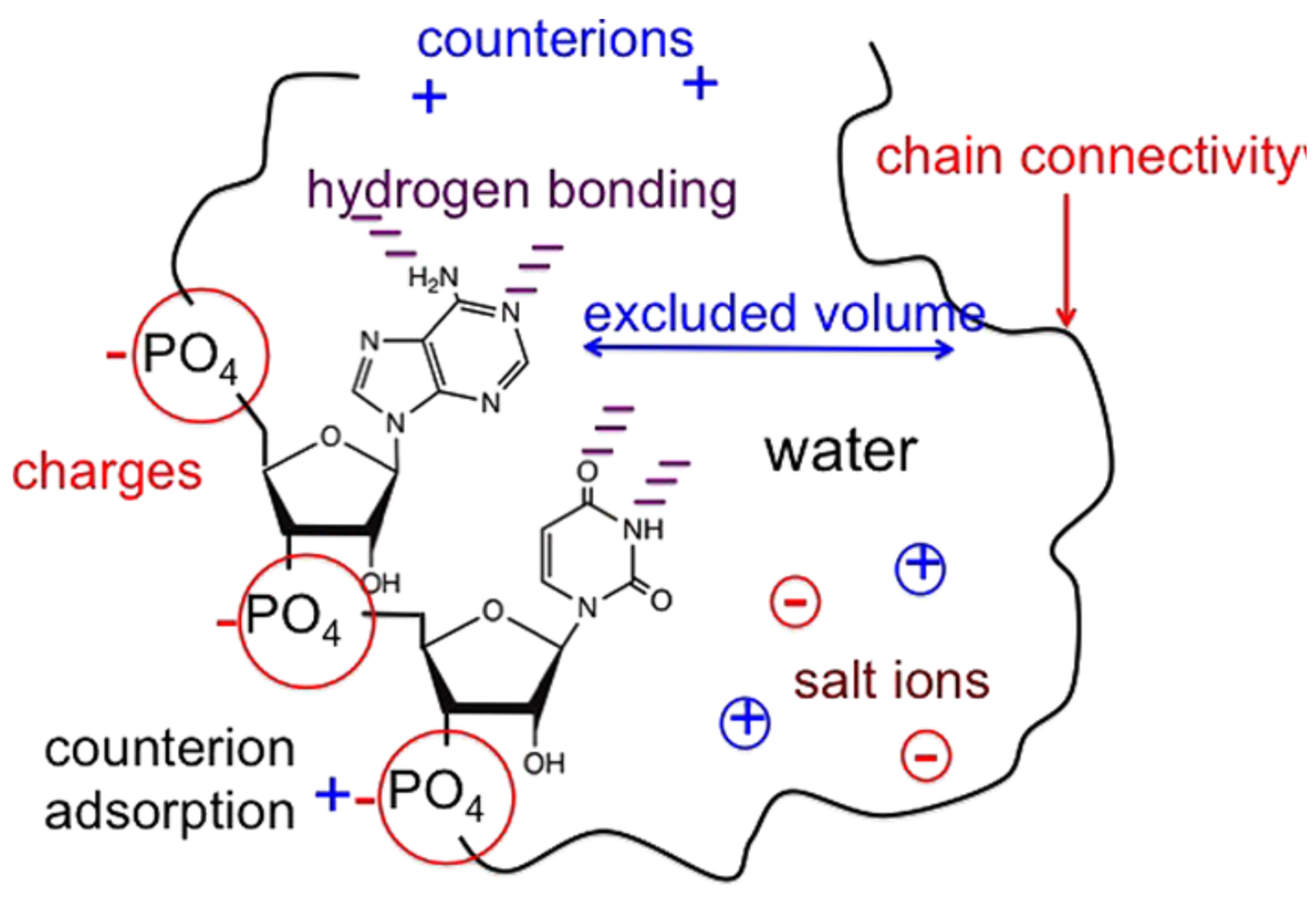 Polymers 14 02090 g001