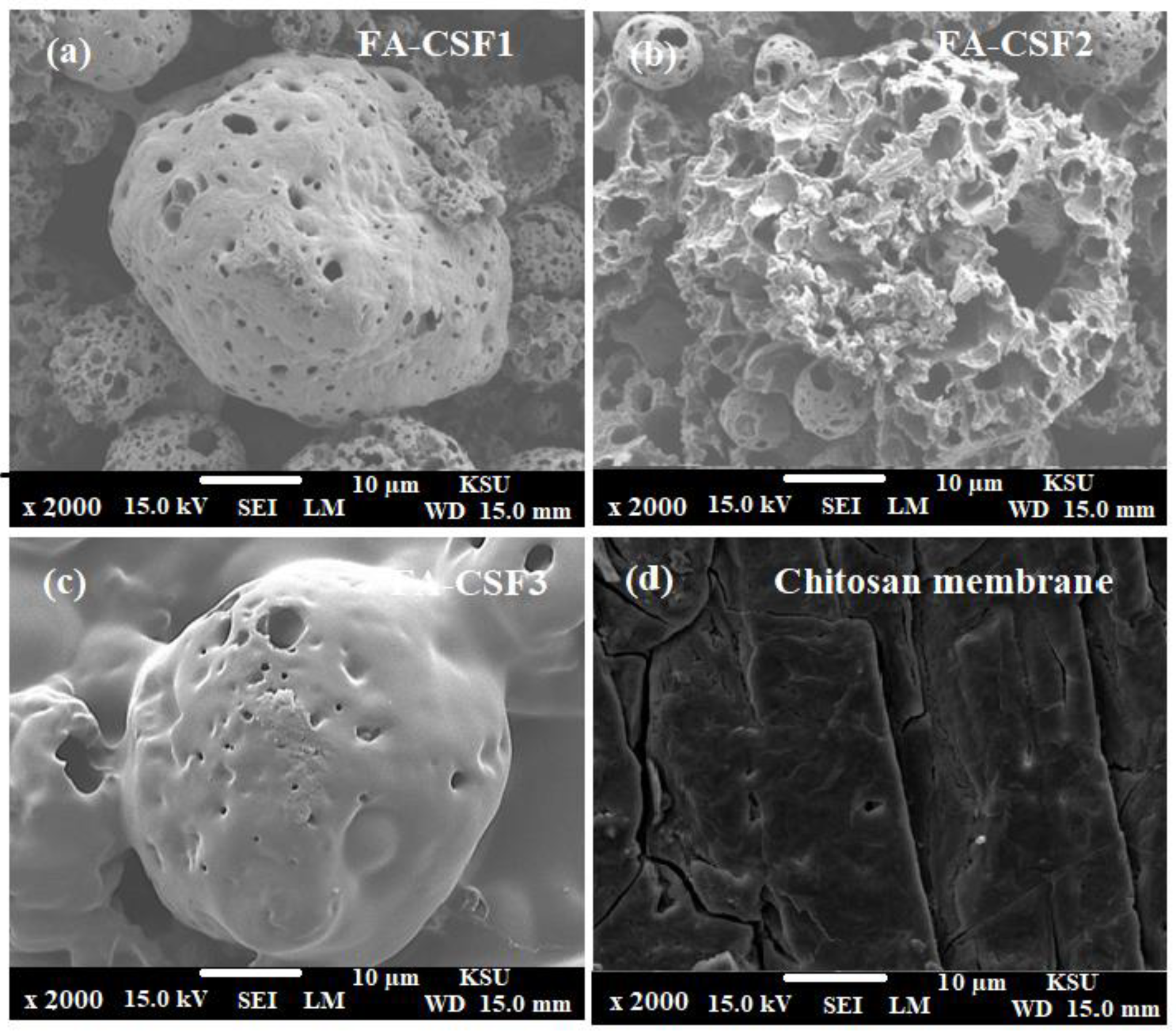 Polymers 14 02099 g003