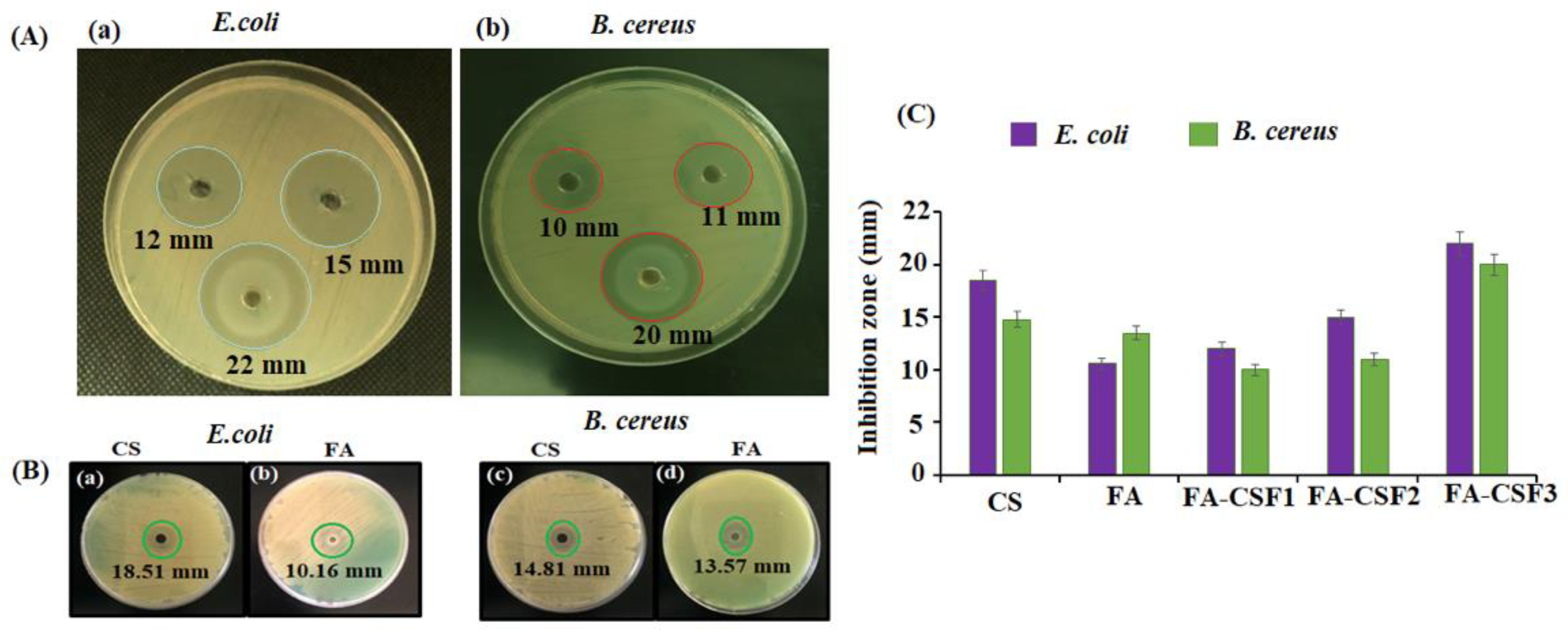 Polymers 14 02099 g006