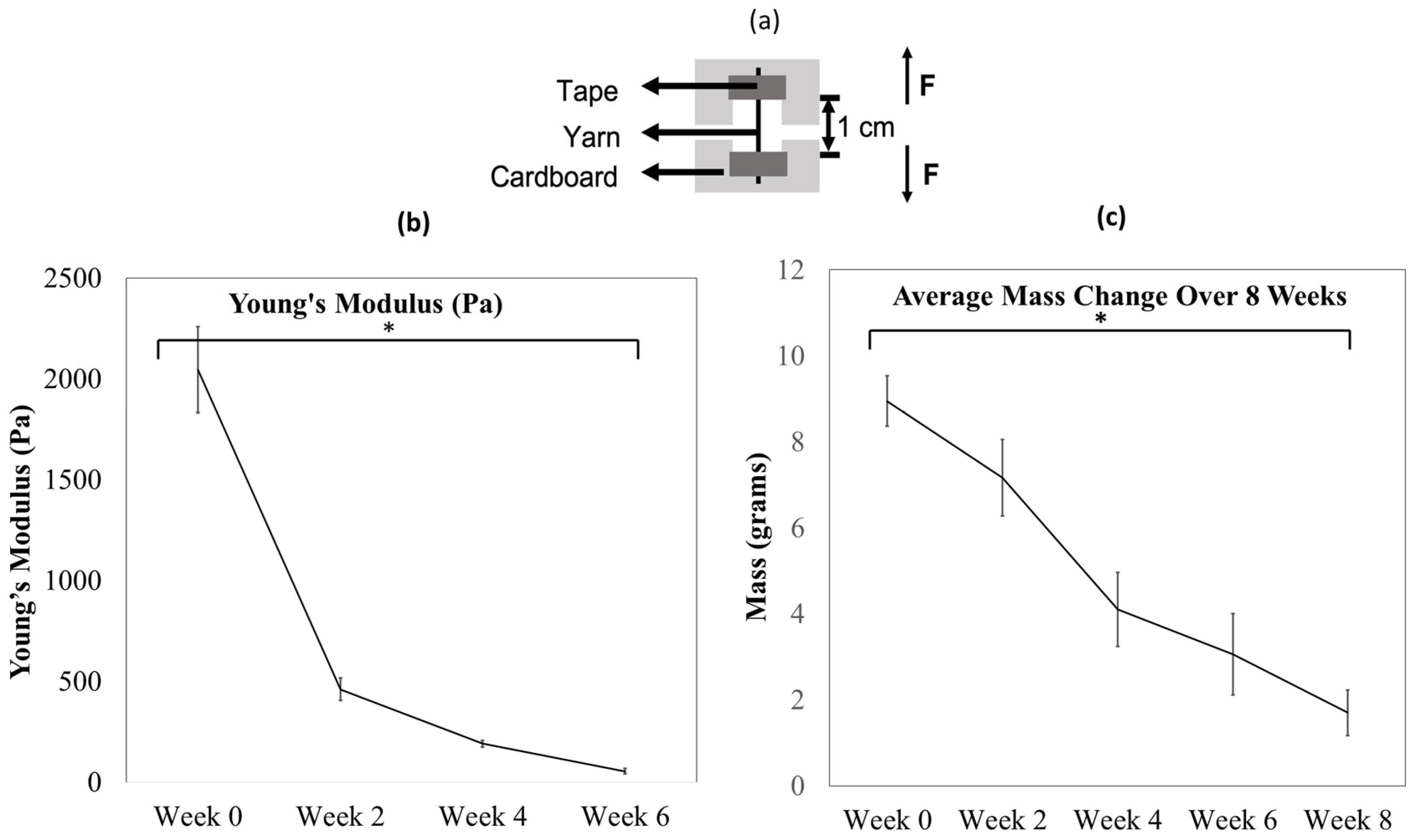 Polymers 14 02100 g003