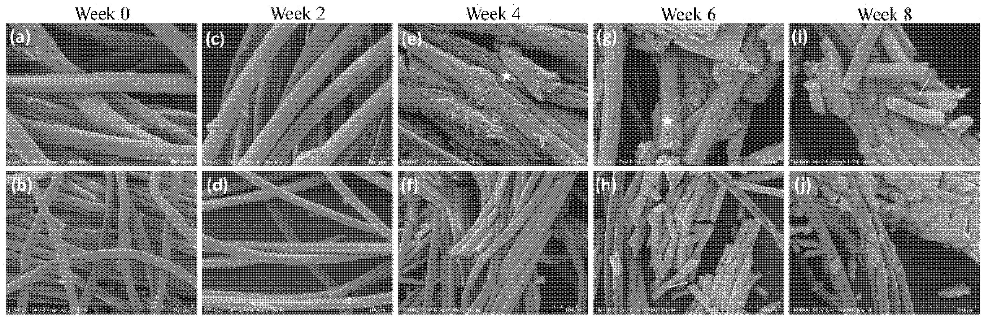 Polymers 14 02100 g004