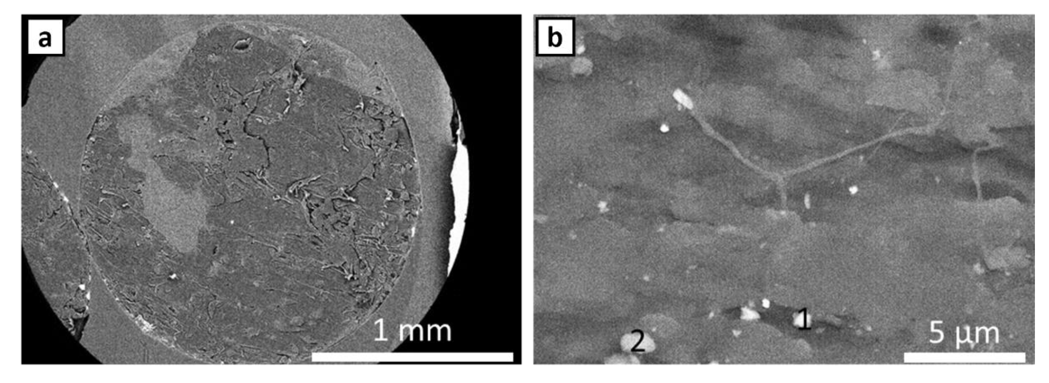 Polymers 14 02105 g004 550