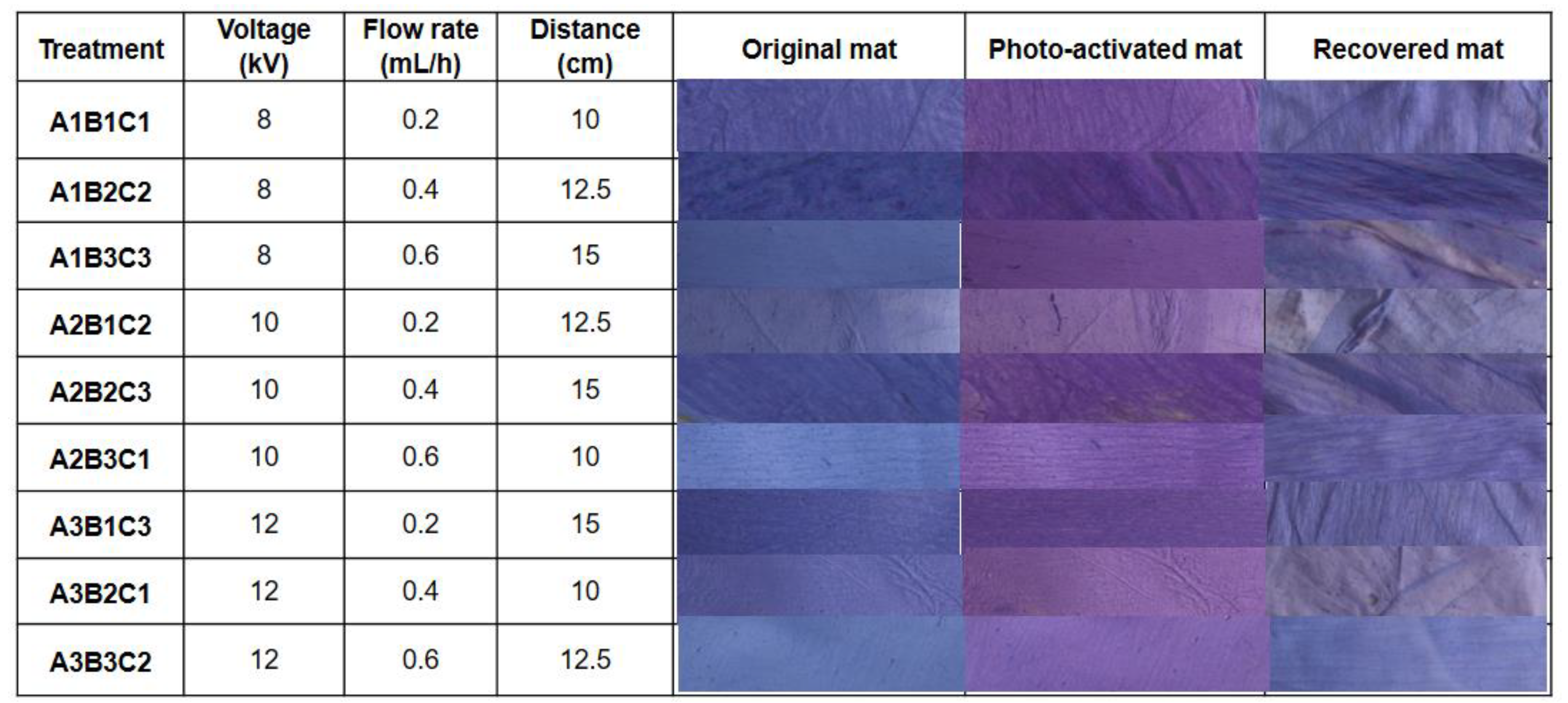 Polymers 14 02108 g001