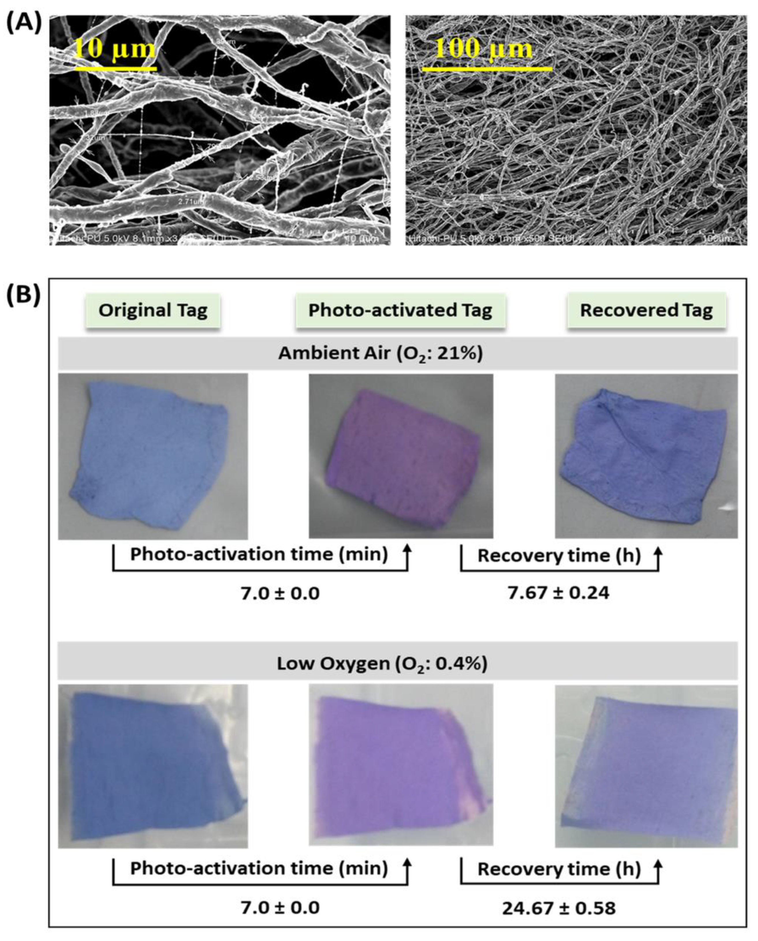 Polymers 14 02108 g004