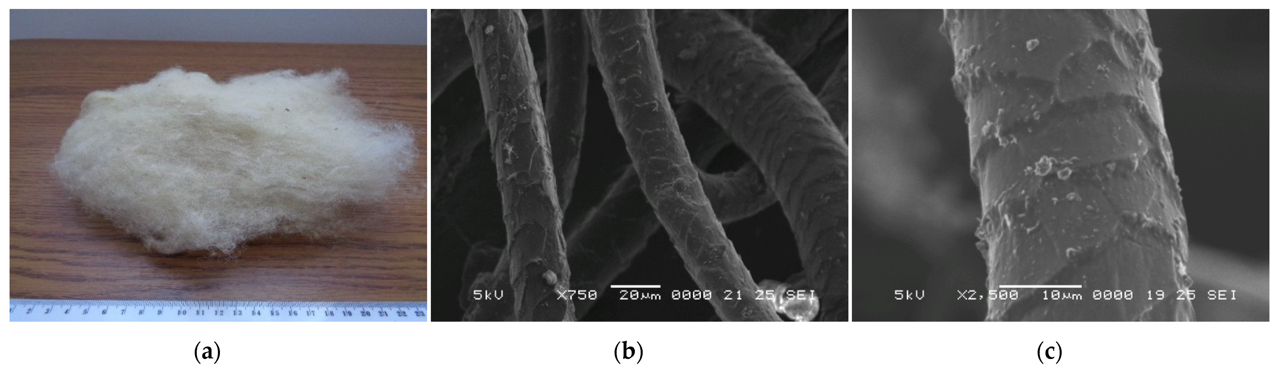 Polymers 14 02109 g001 550
