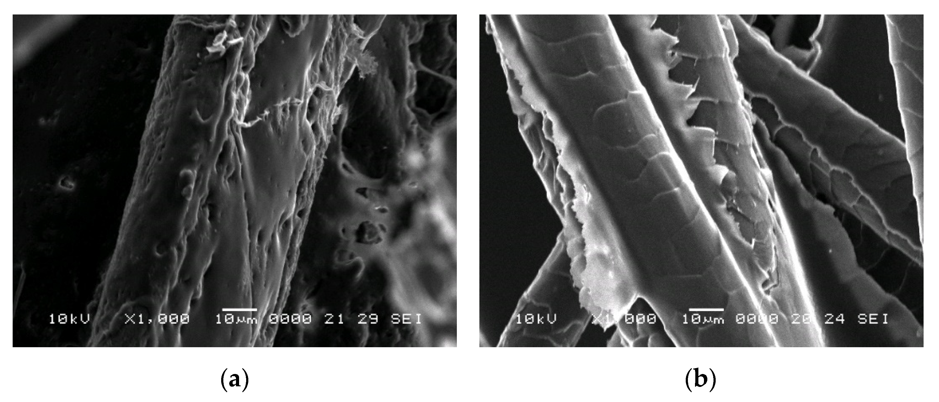 Polymers 14 02109 g013 550