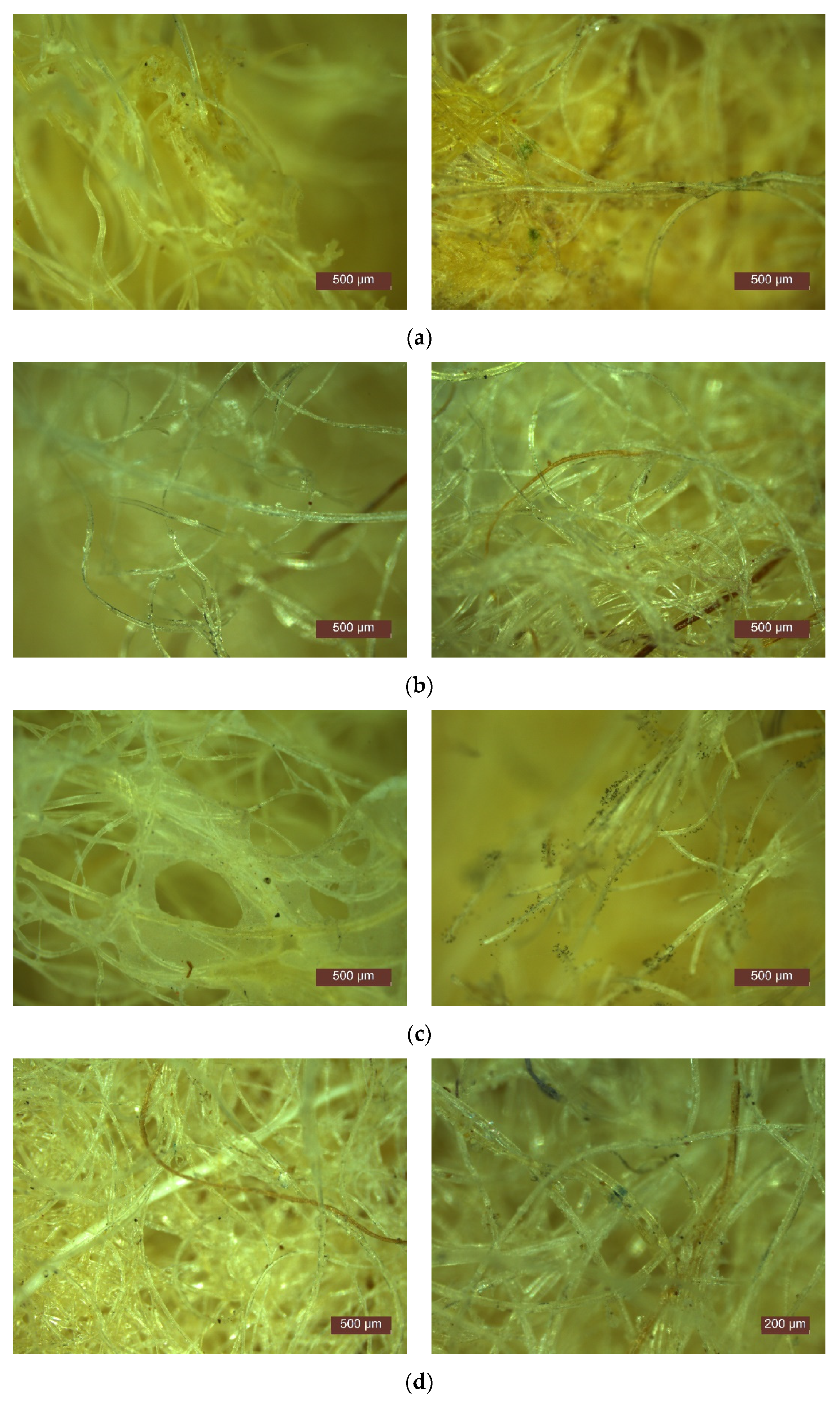Polymers 14 02109 g017 550