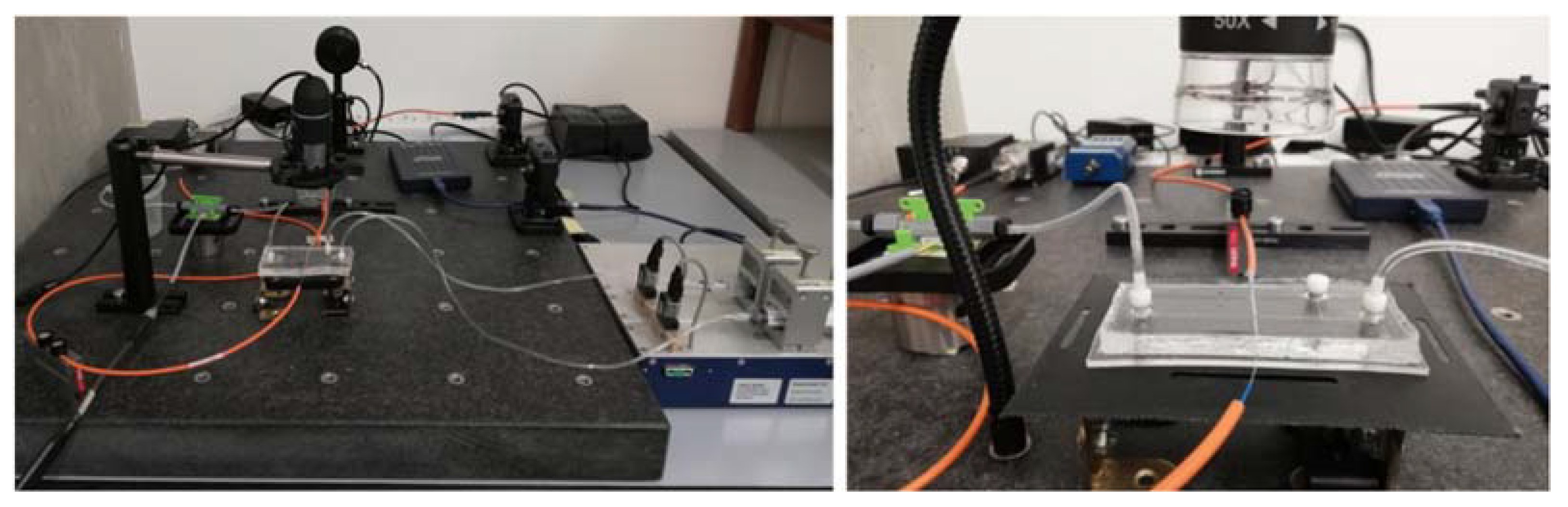 Polymers 14 02113 g004