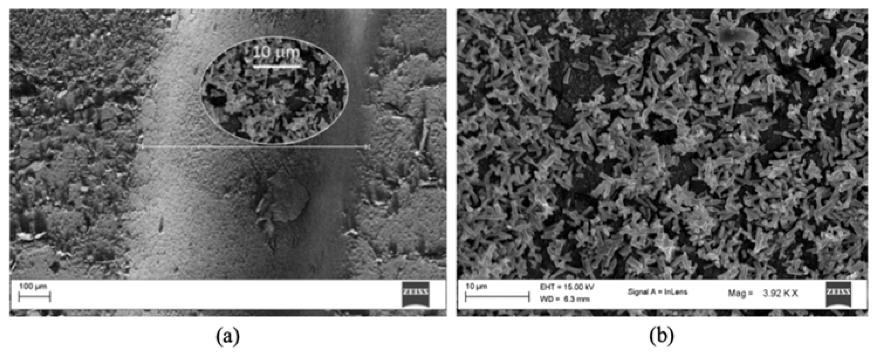 Polymers 14 02113 g005