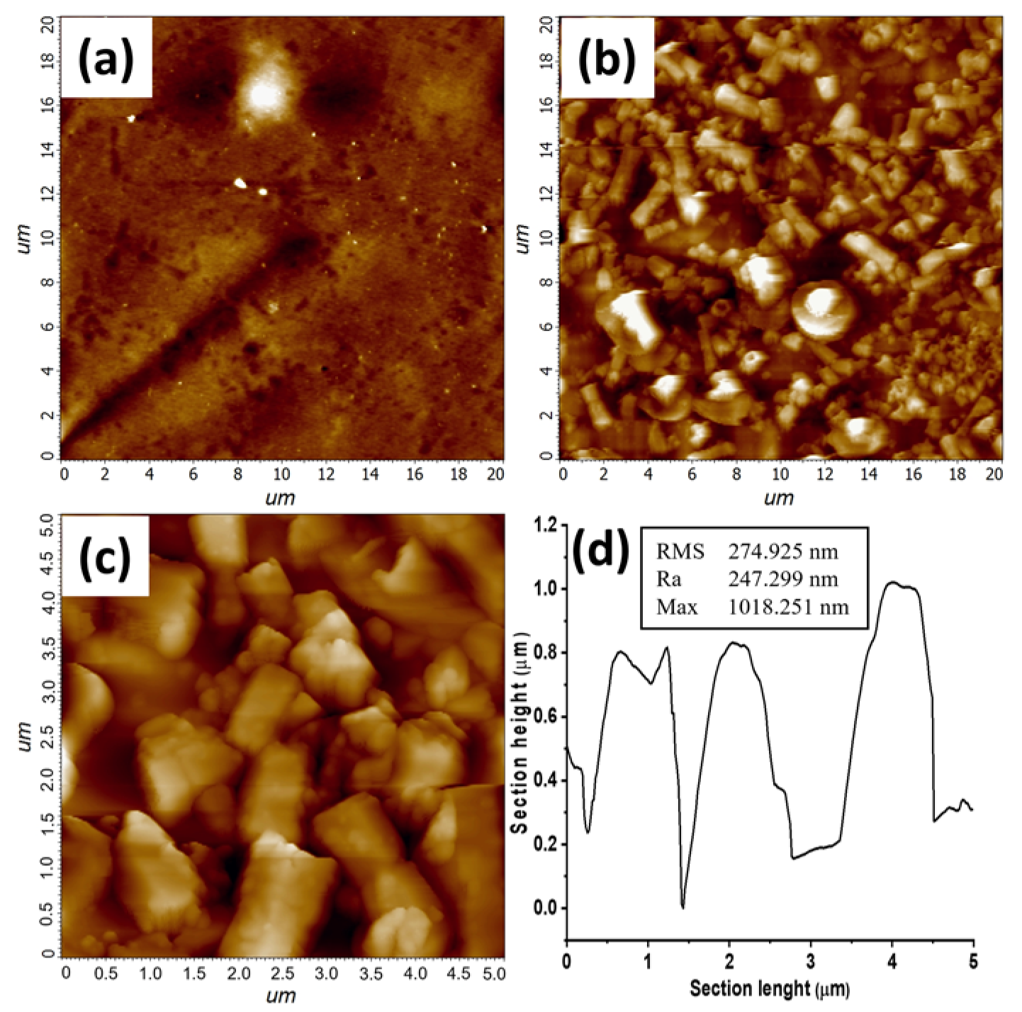 Polymers 14 02113 g006