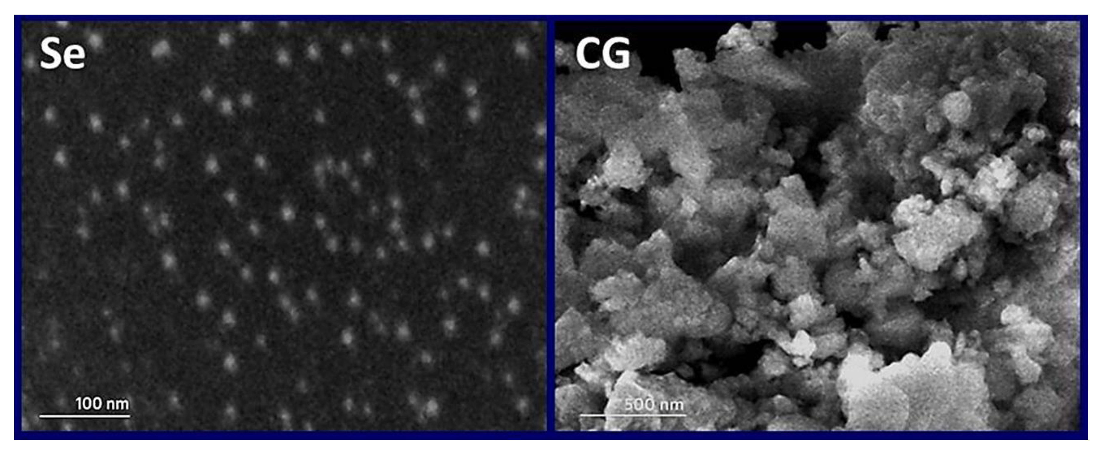 Polymers 14 02116 g002 550