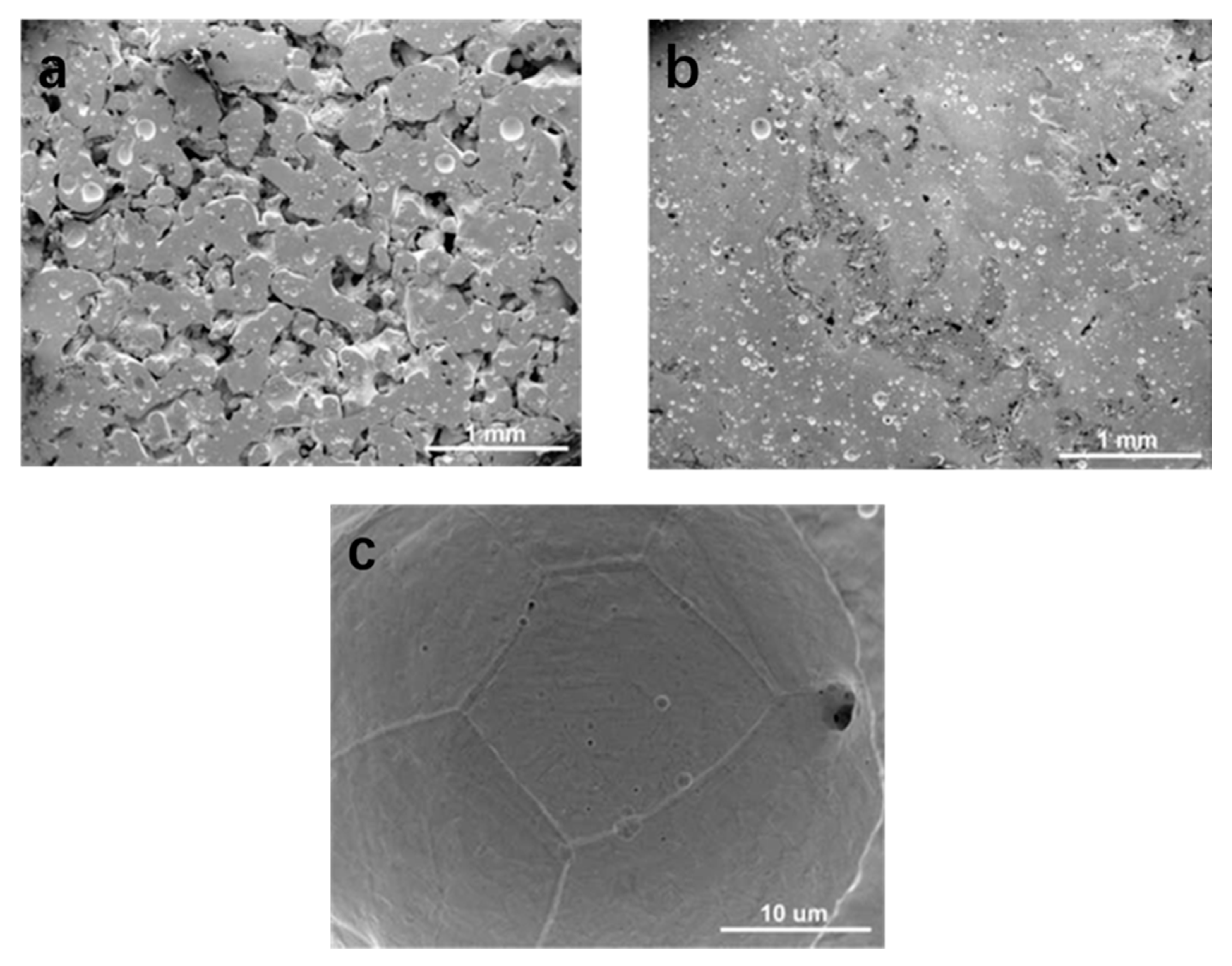 Polymers 14 02117 g003 550