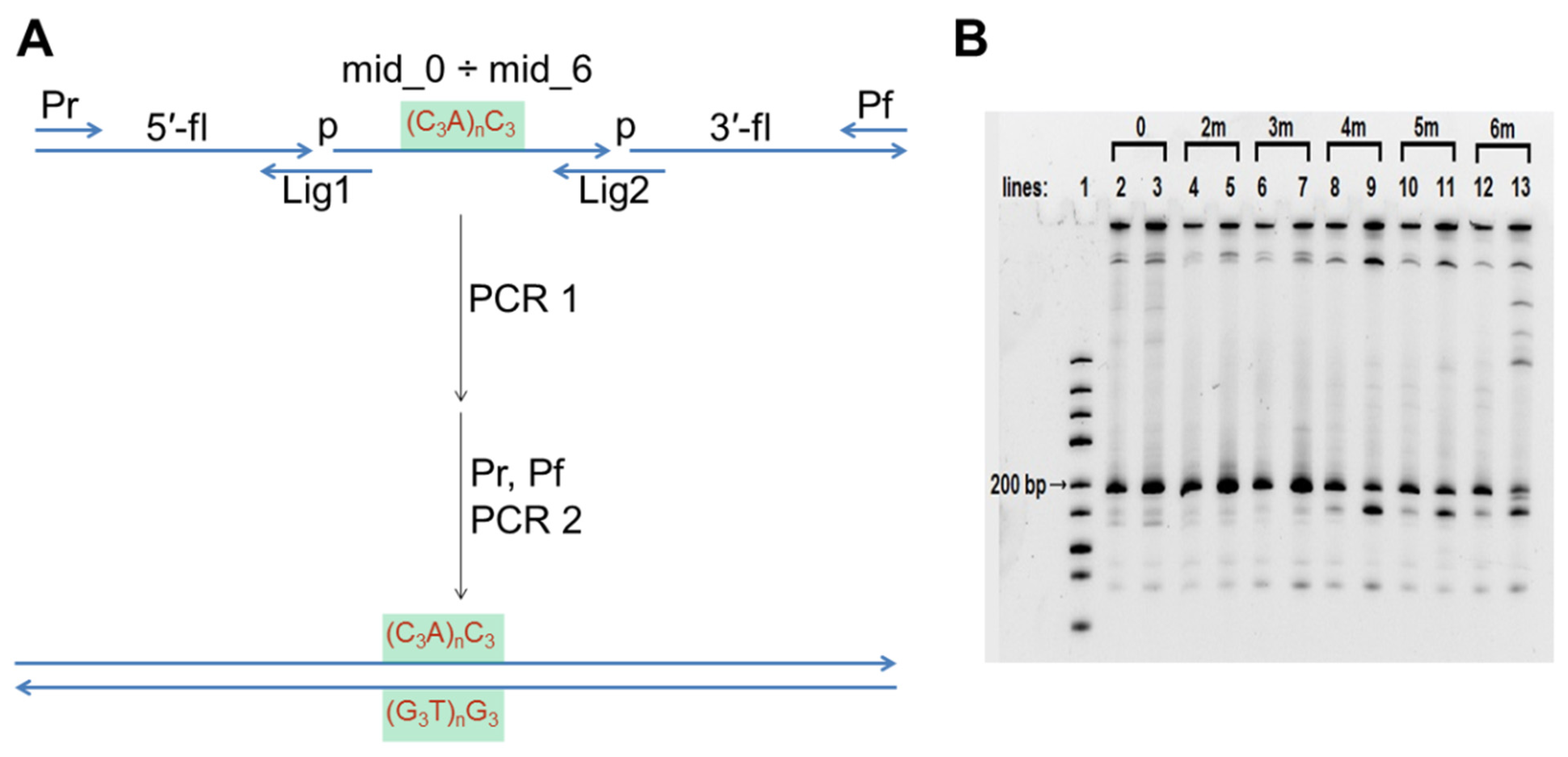 Polymers 14 02118 g002 Polymers 14 02118 g002