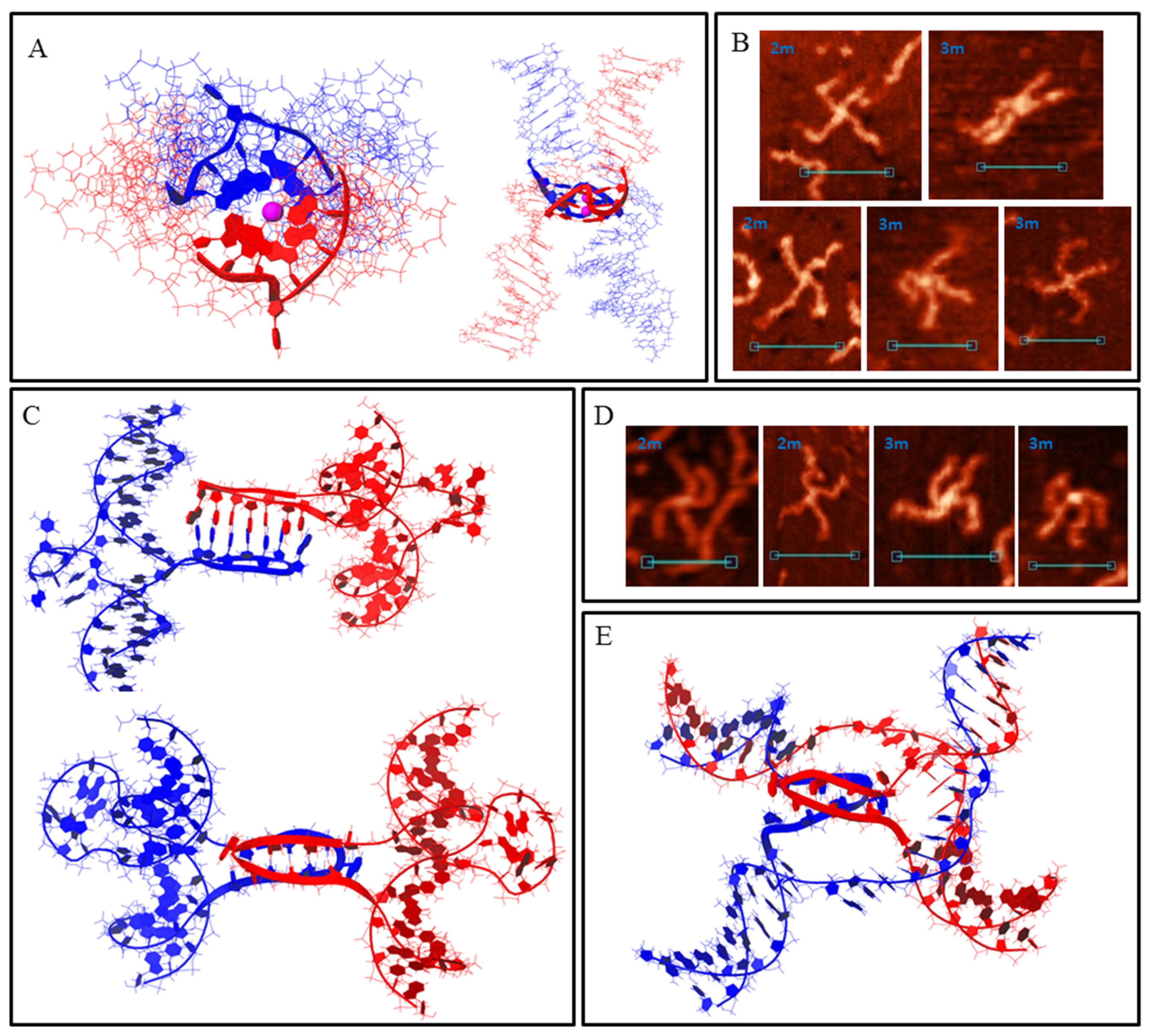 Polymers 14 02118 g003 Polymers 14 02118 g003