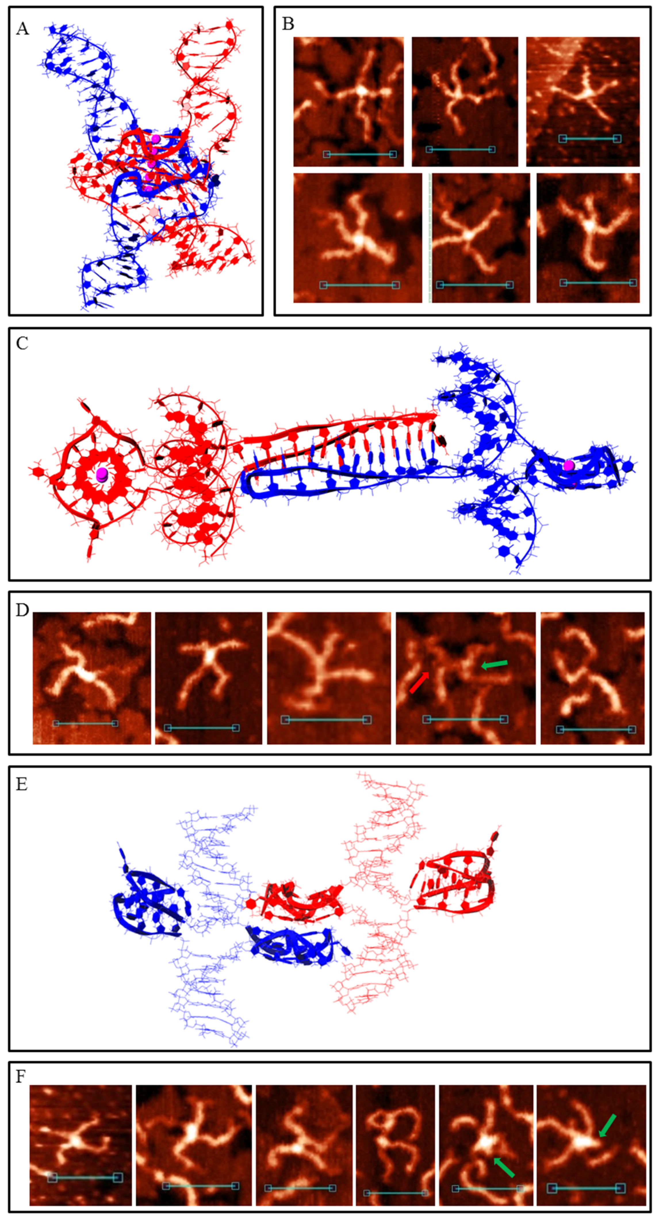 Polymers 14 02118 g005 Polymers 14 02118 g005