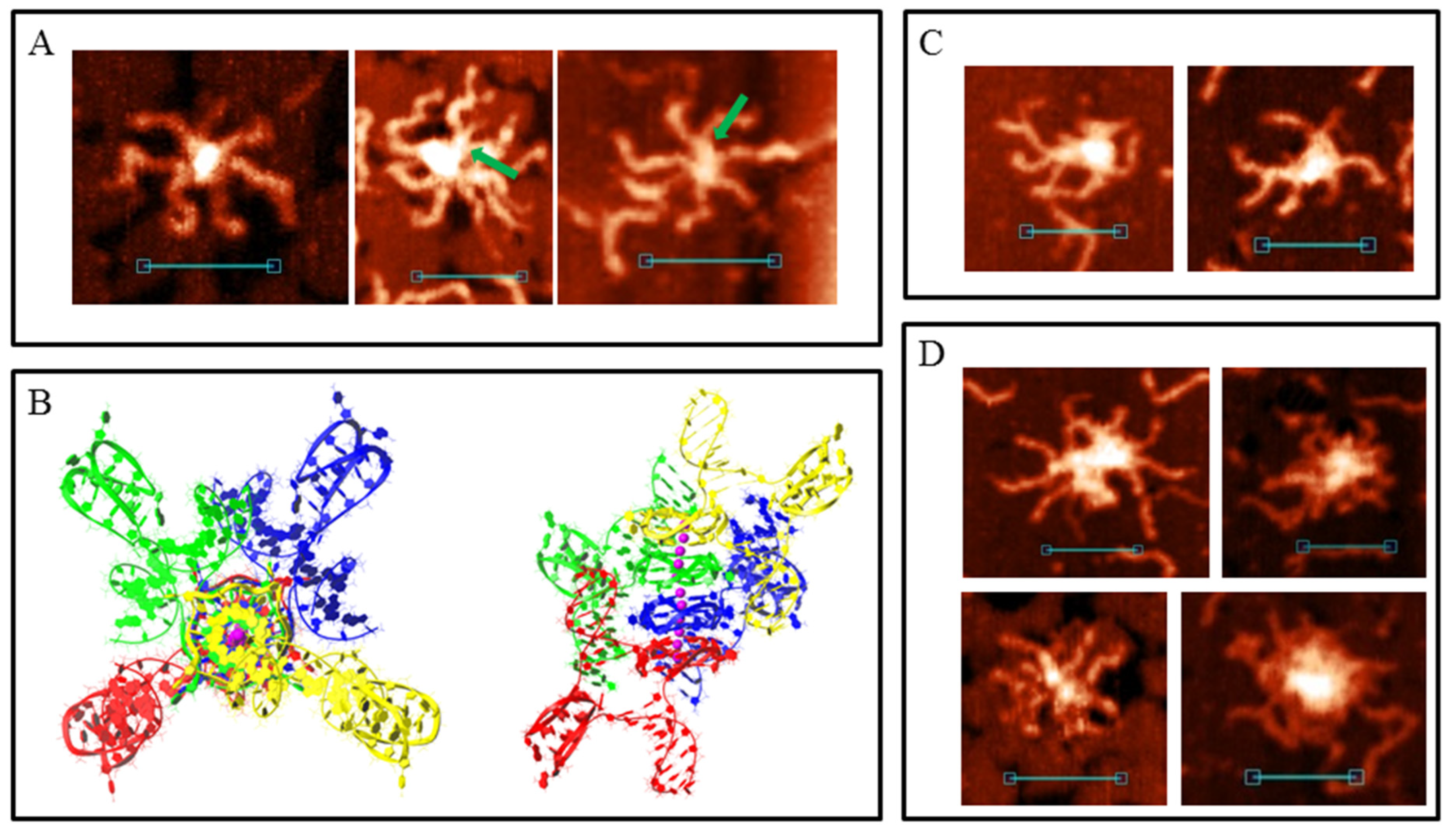 Polymers 14 02118 g006 Polymers 14 02118 g006