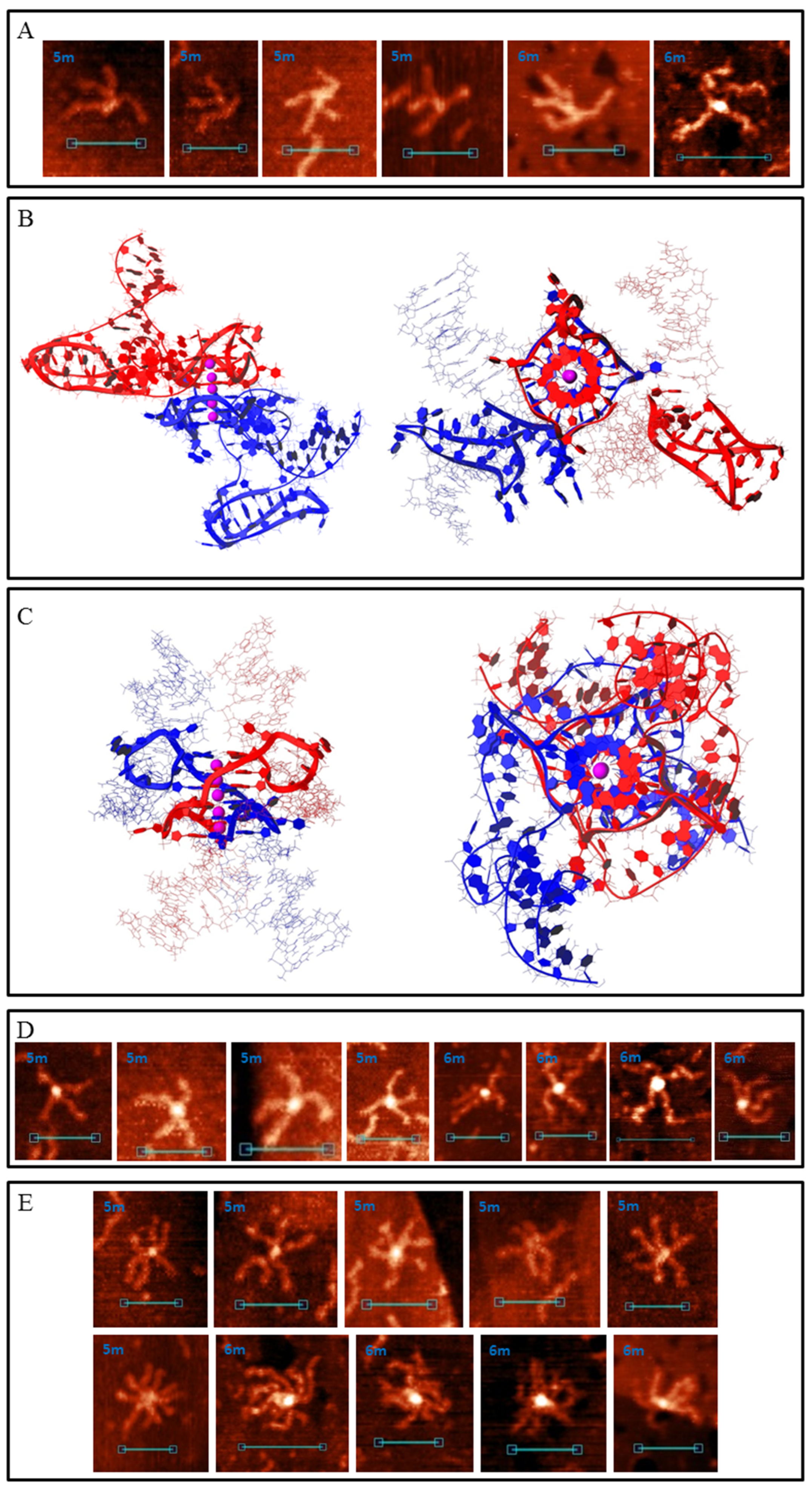 Polymers 14 02118 g007 Polymers 14 02118 g007