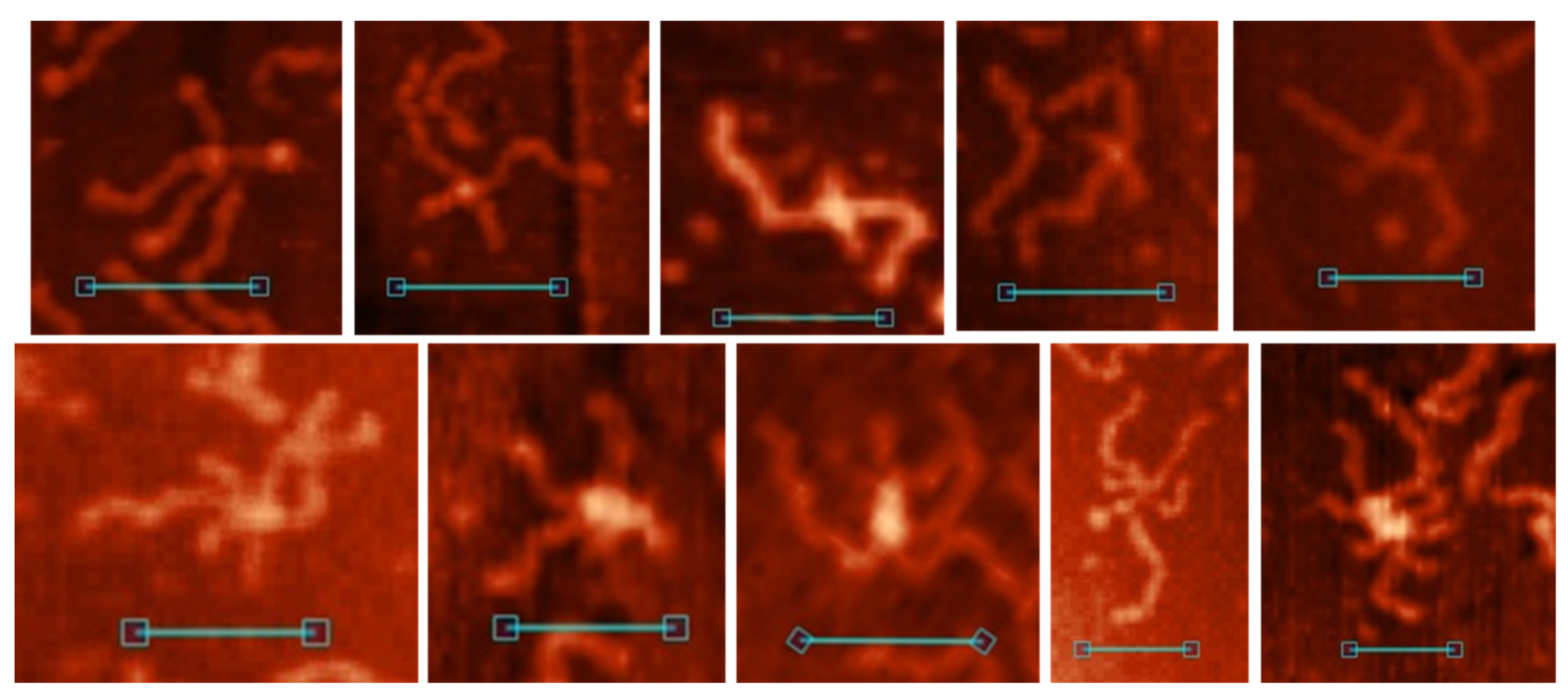 Polymers 14 02118 g008 Polymers 14 02118 g008