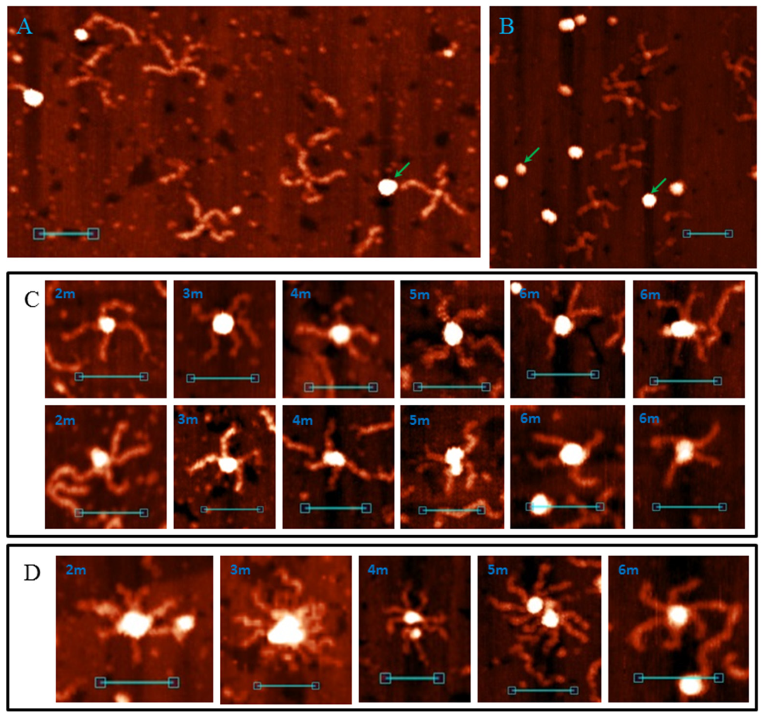 Polymers 14 02118 g010 Polymers 14 02118 g010
