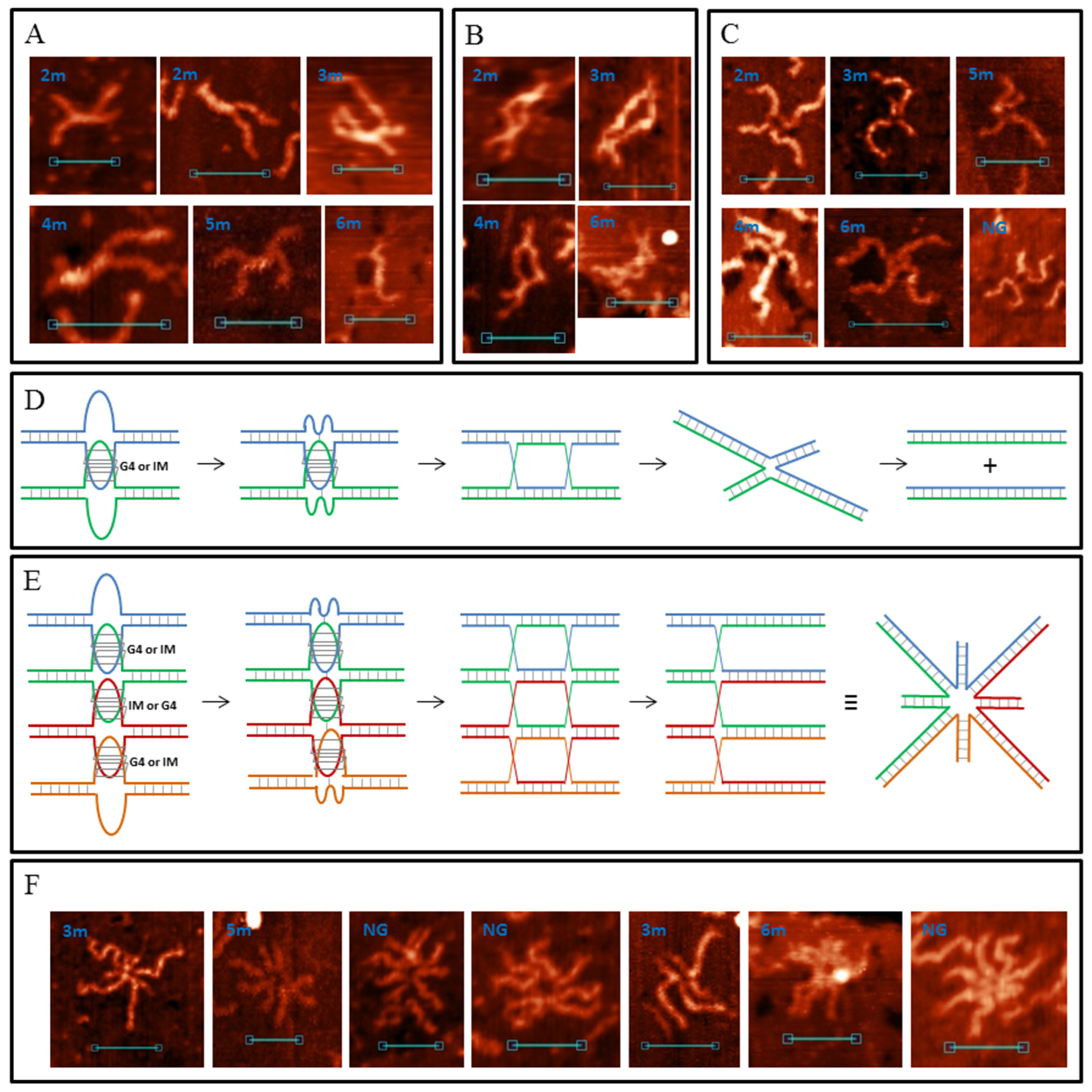 Polymers 14 02118 g011 Polymers 14 02118 g011