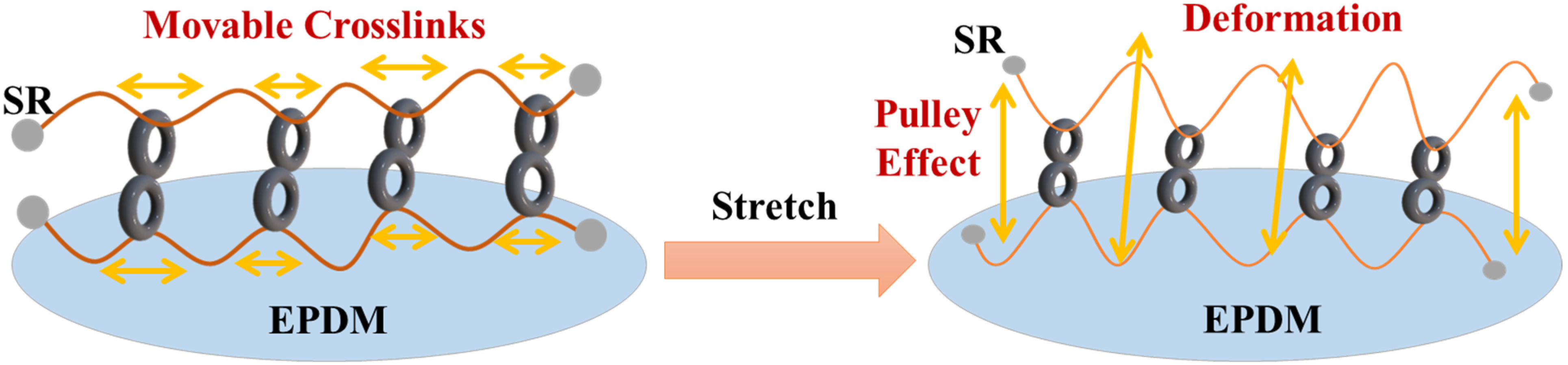 Polymers 14 02121 g002 Polymers 14 02121 g002