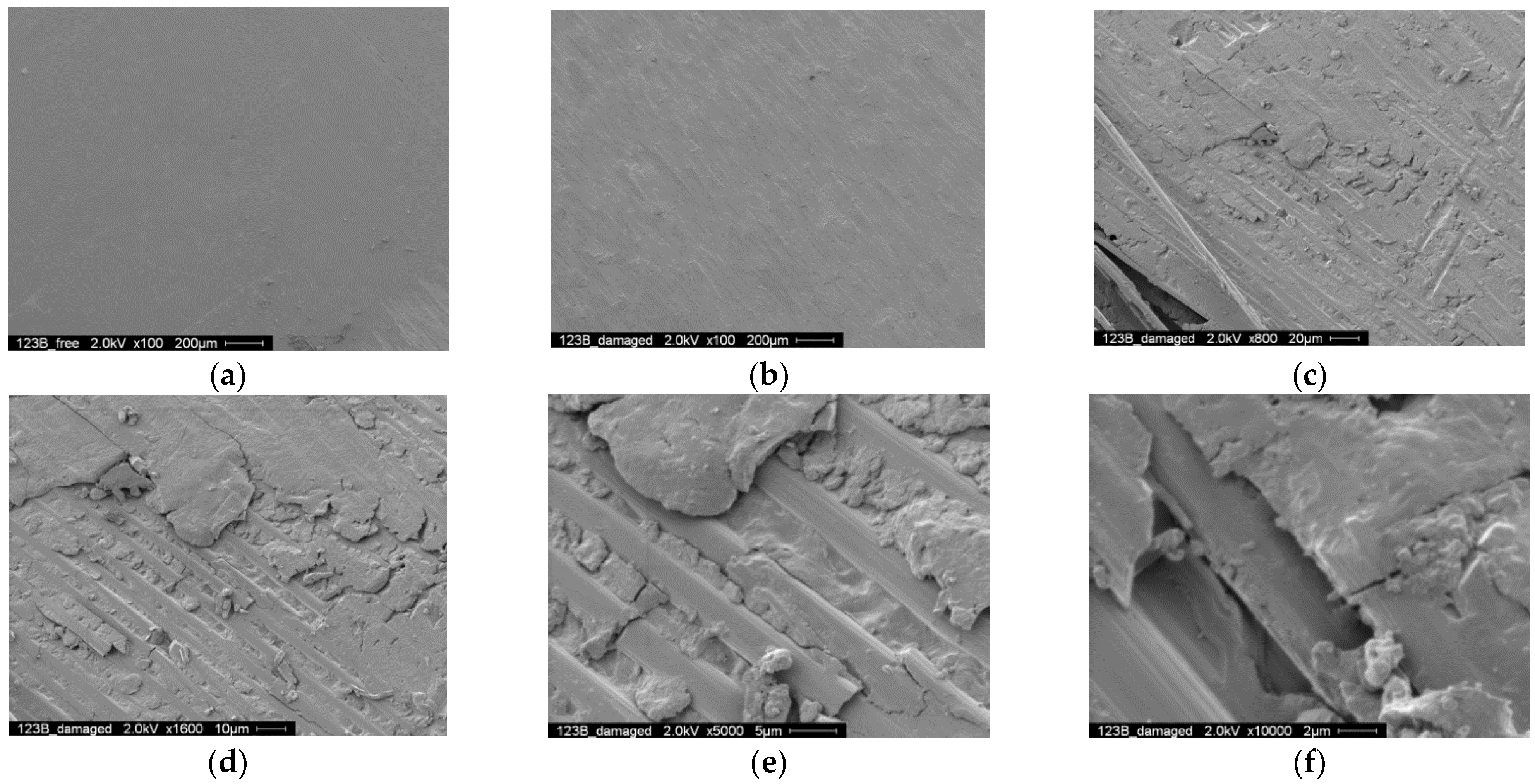 Polymers 14 02129 g019