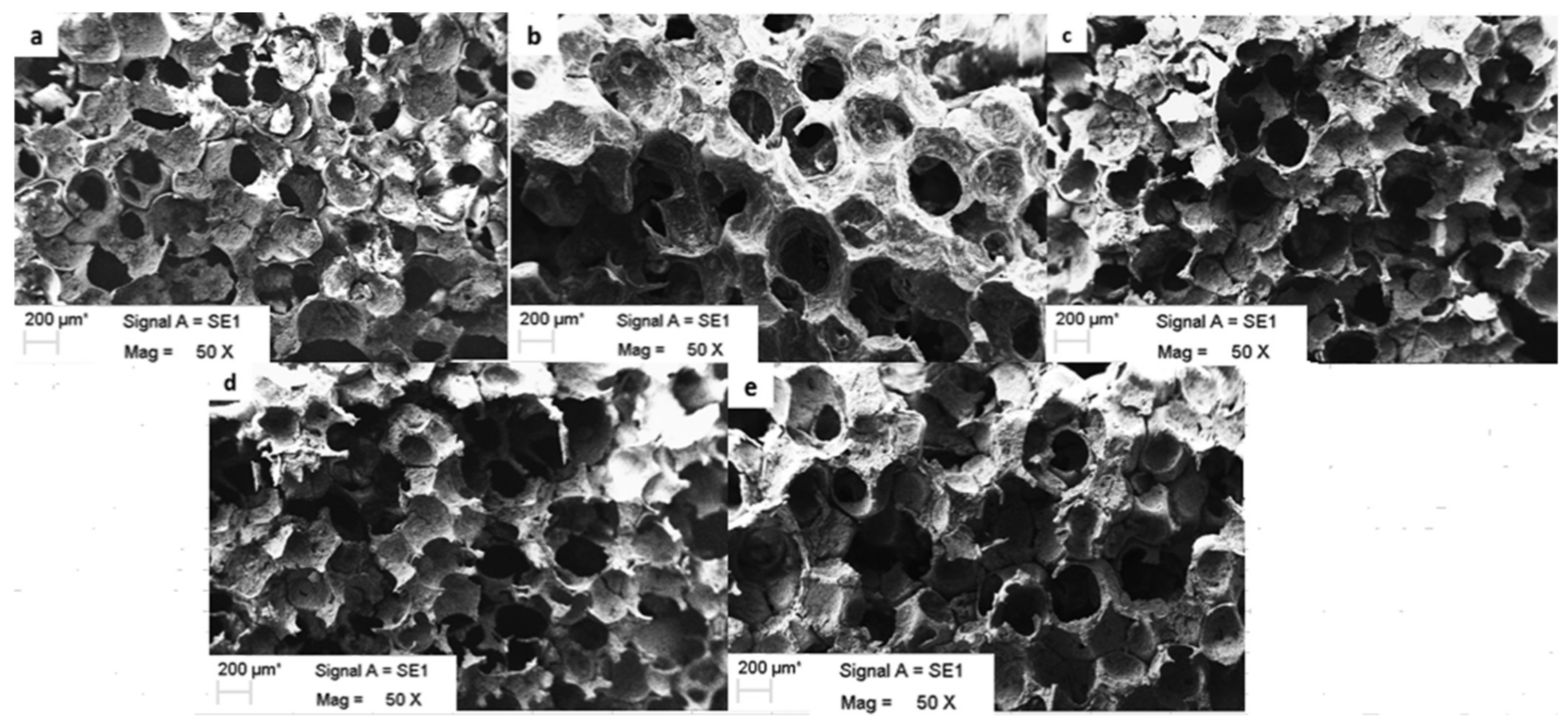 Polymers 14 02141 g005