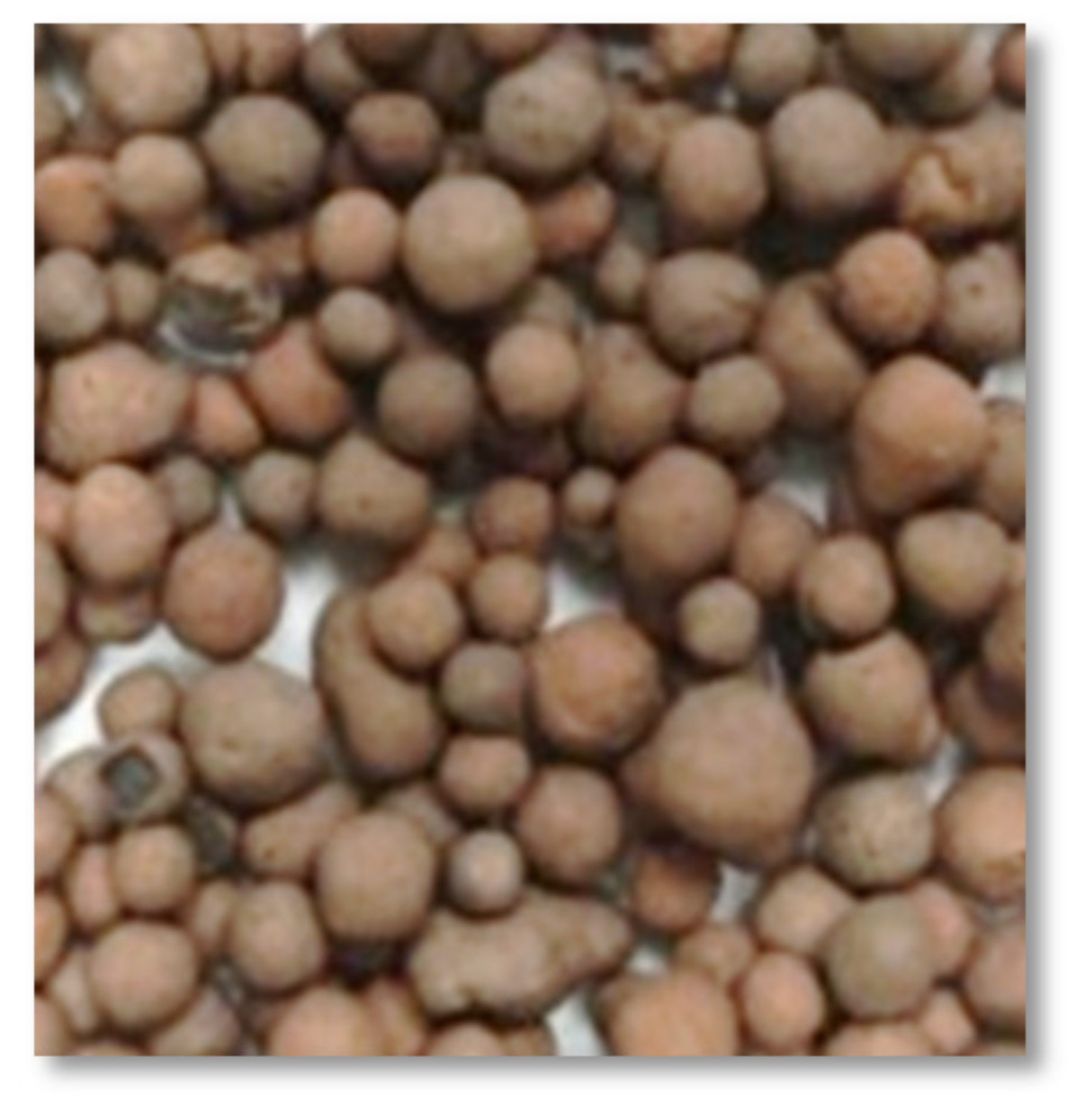 Polymers 14 02142 g002