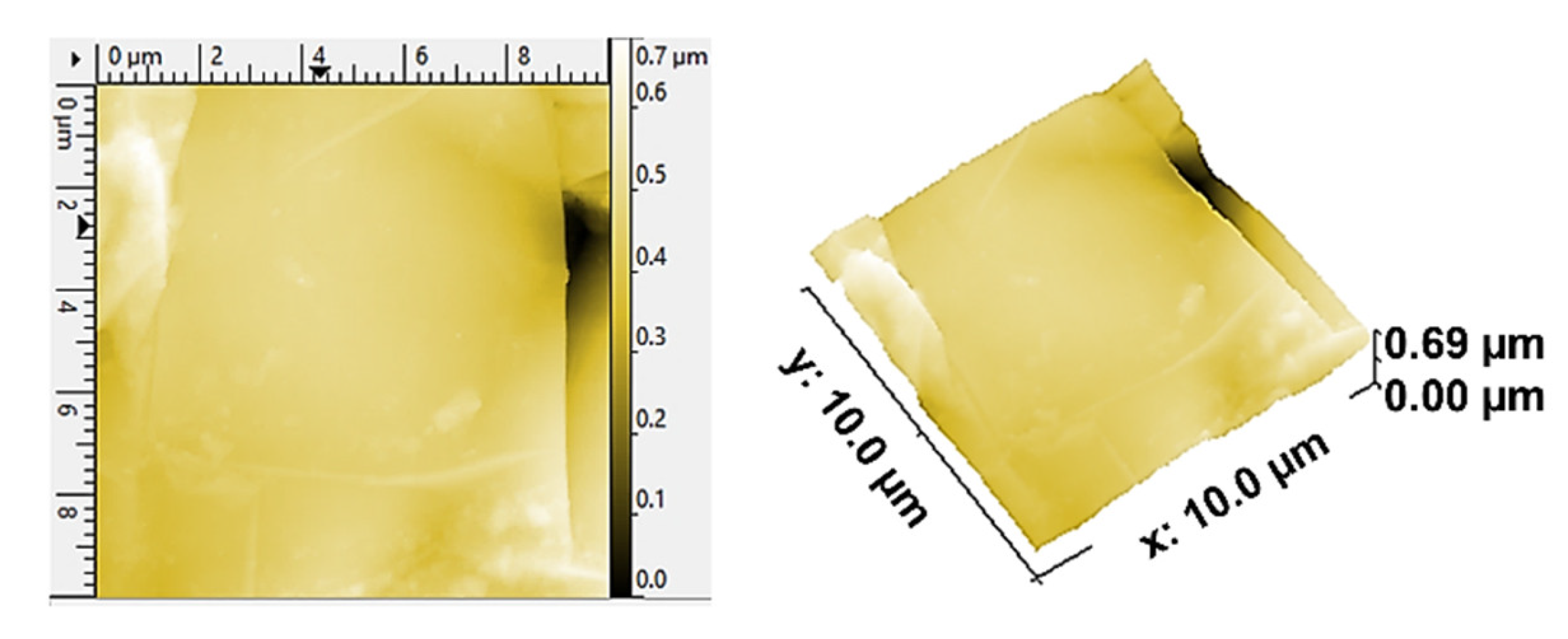 Polymers 14 02143 g003