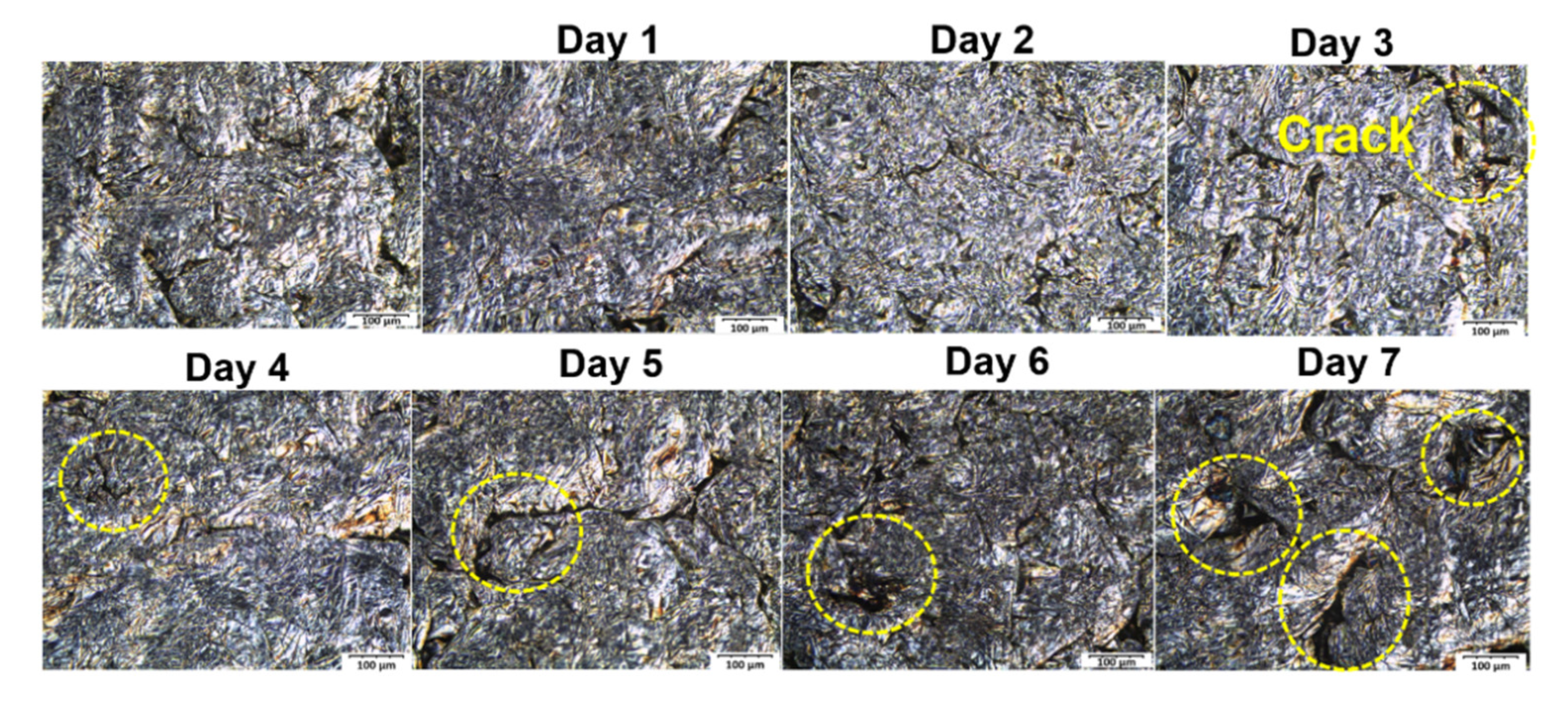 Polymers 14 02143 g009
