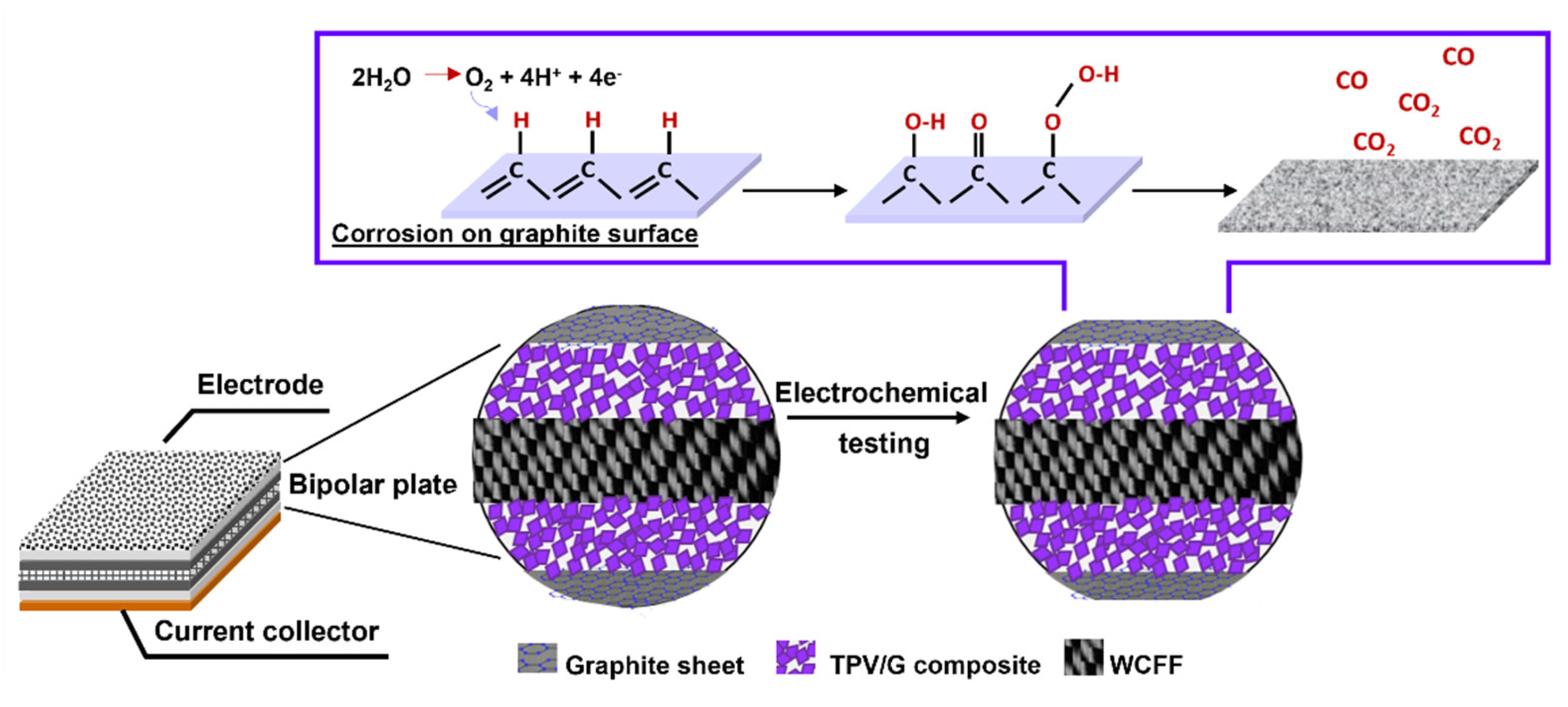 Polymers 14 02143 g012