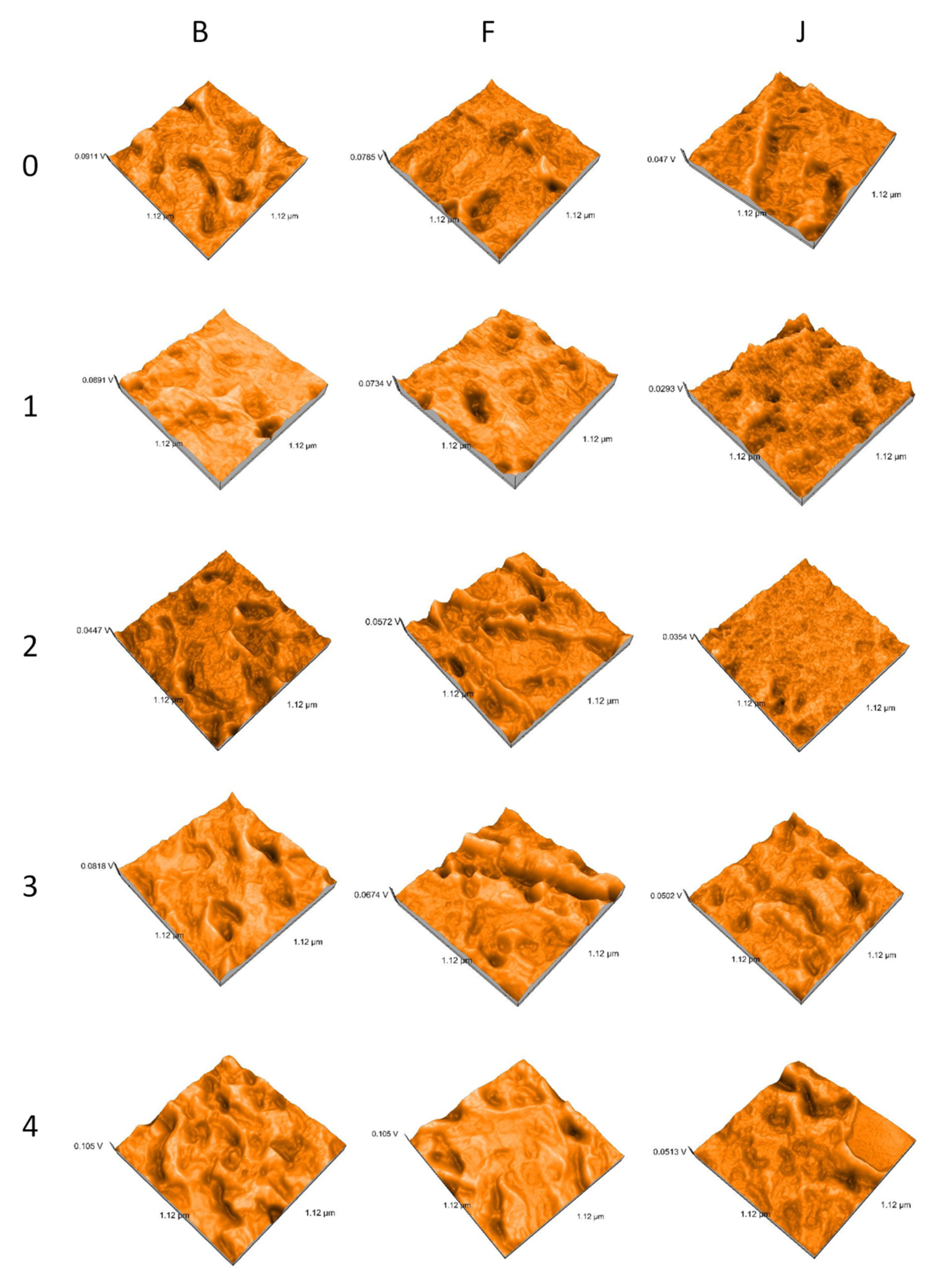 Polymers 14 02144 g003 550