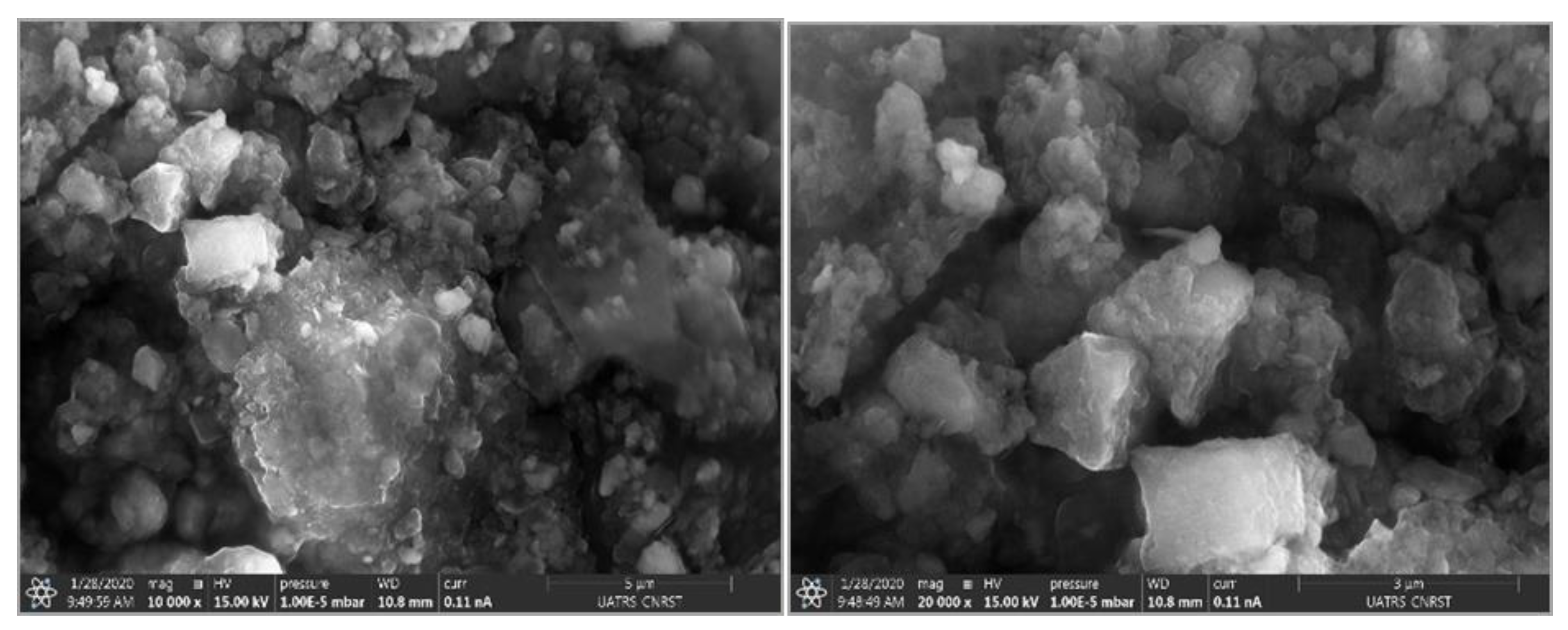 Polymers 14 02147 g008 550